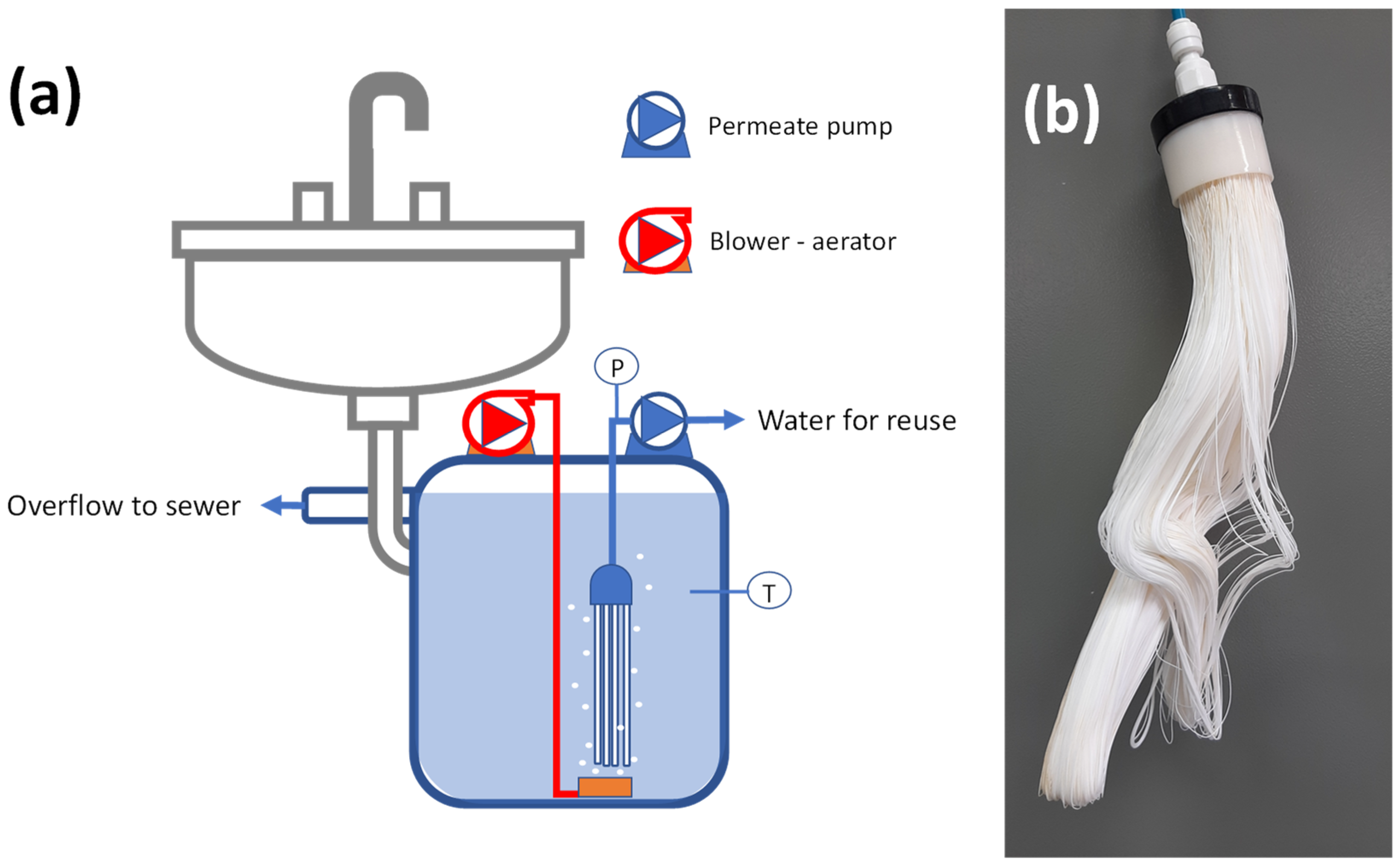Membranes 11 00063 g001 Membranes 11 00063 g001
