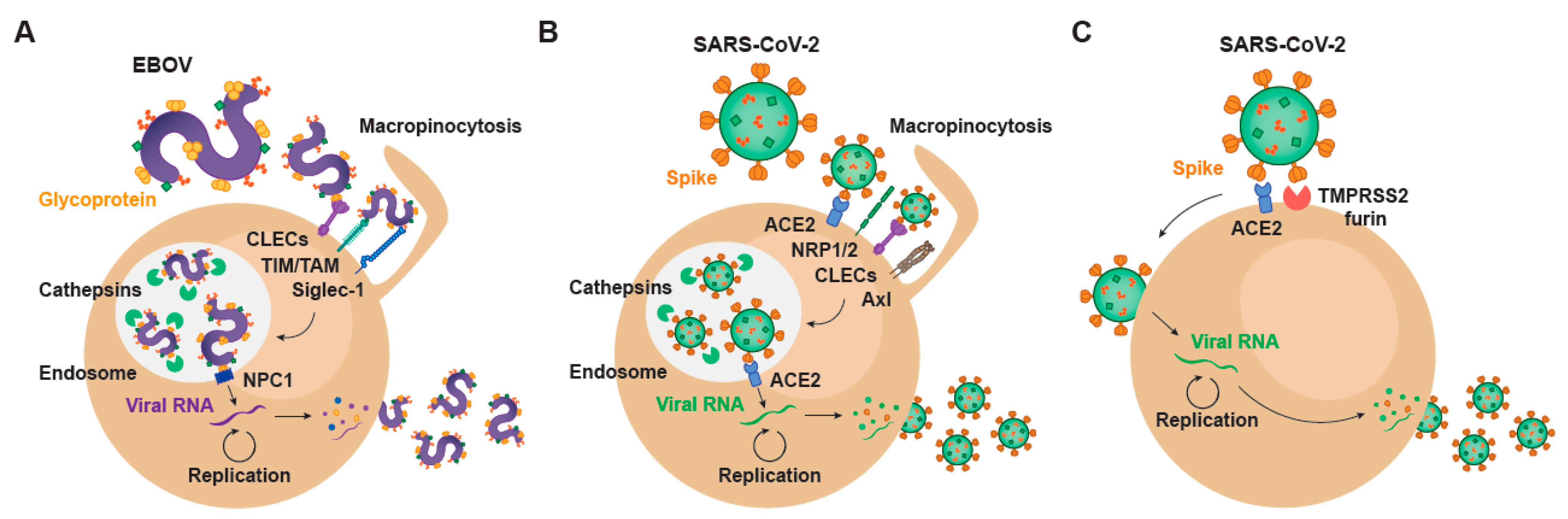 Membranes 11 00064 g001 Membranes 11 00064 g001