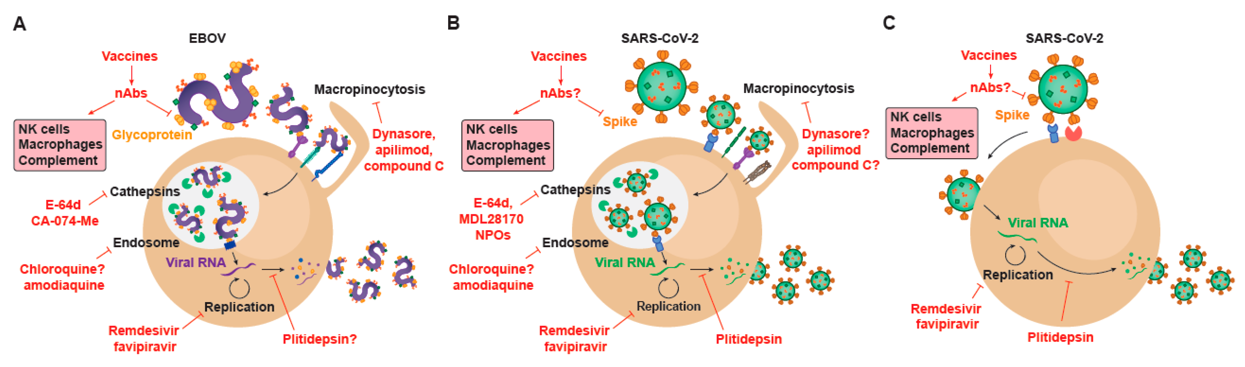 Membranes 11 00064 g002 Membranes 11 00064 g002