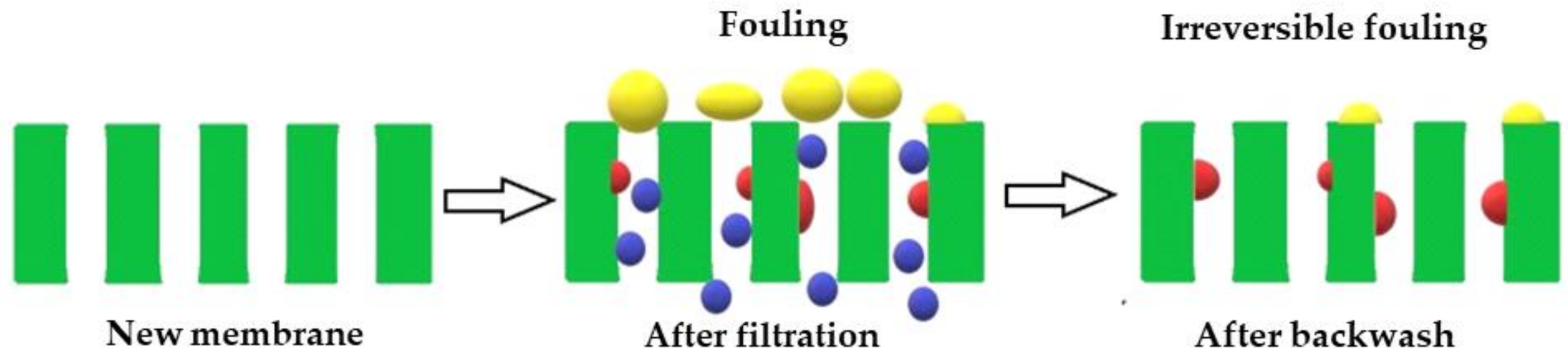 Membranes 11 00066 g012 Membranes 11 00066 g012