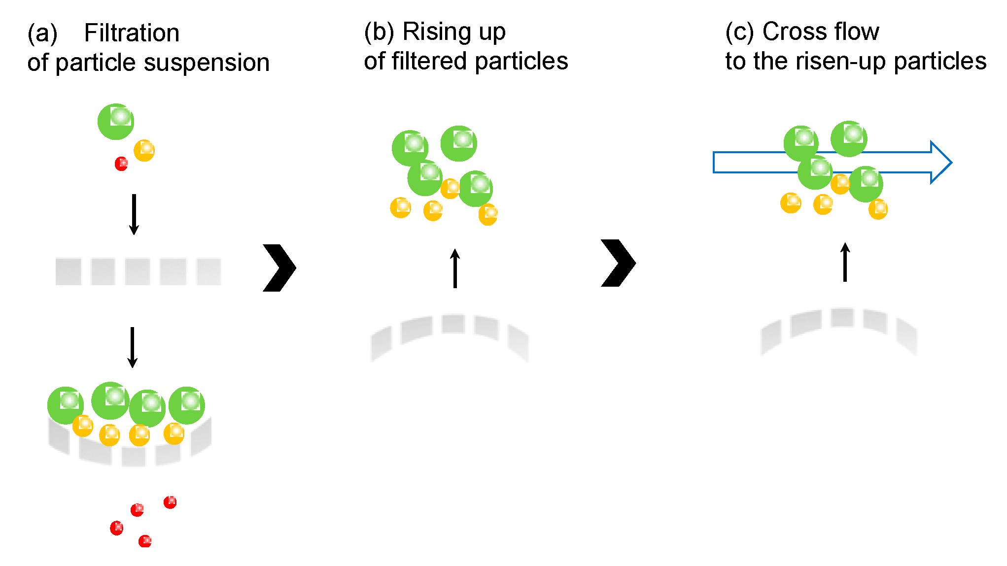 Membranes 11 00071 g001