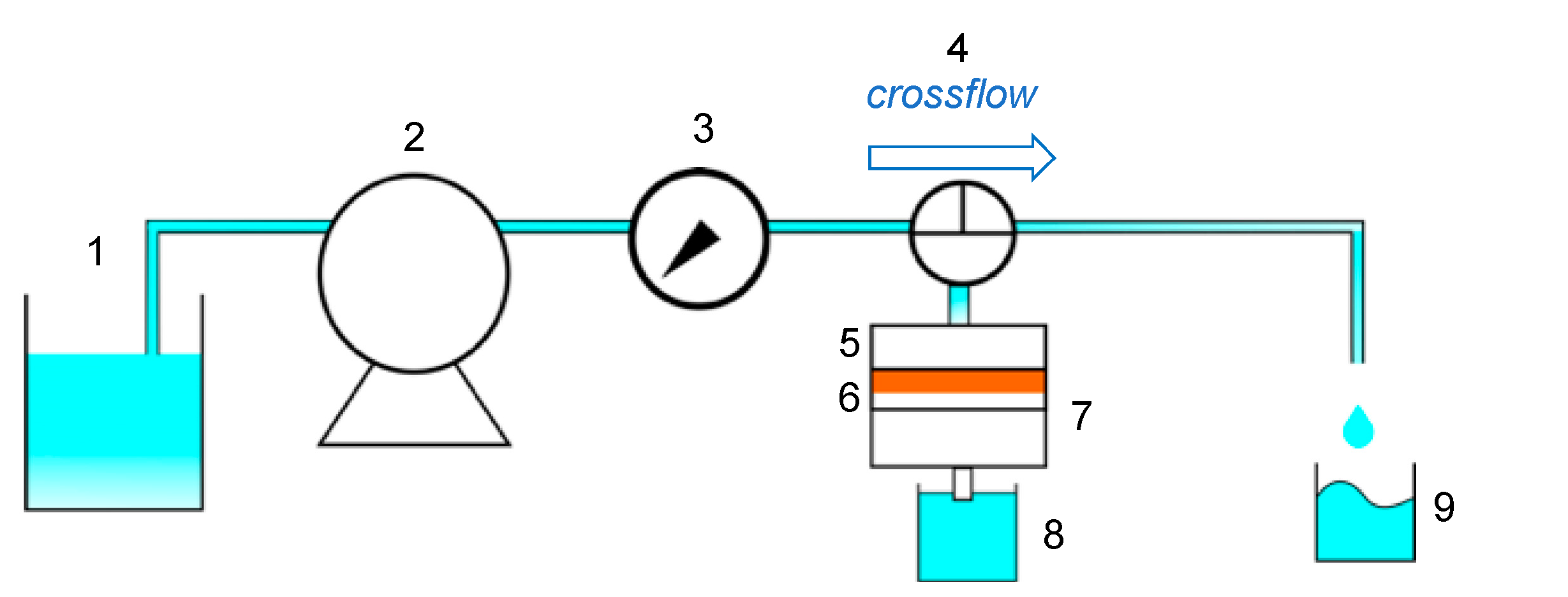Membranes 11 00071 g002