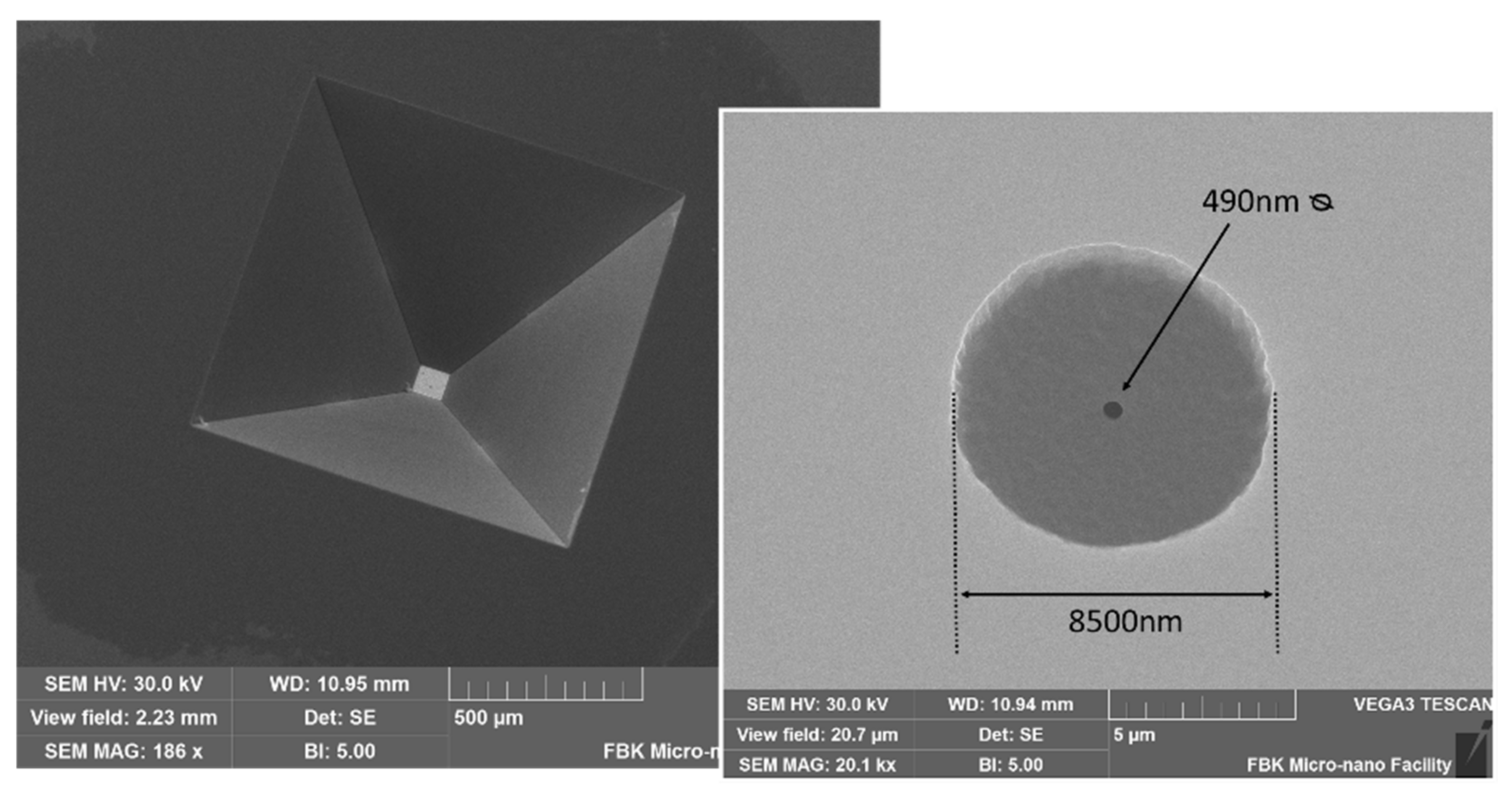 Membranes 11 00074 g009 Membranes 11 00074 g009