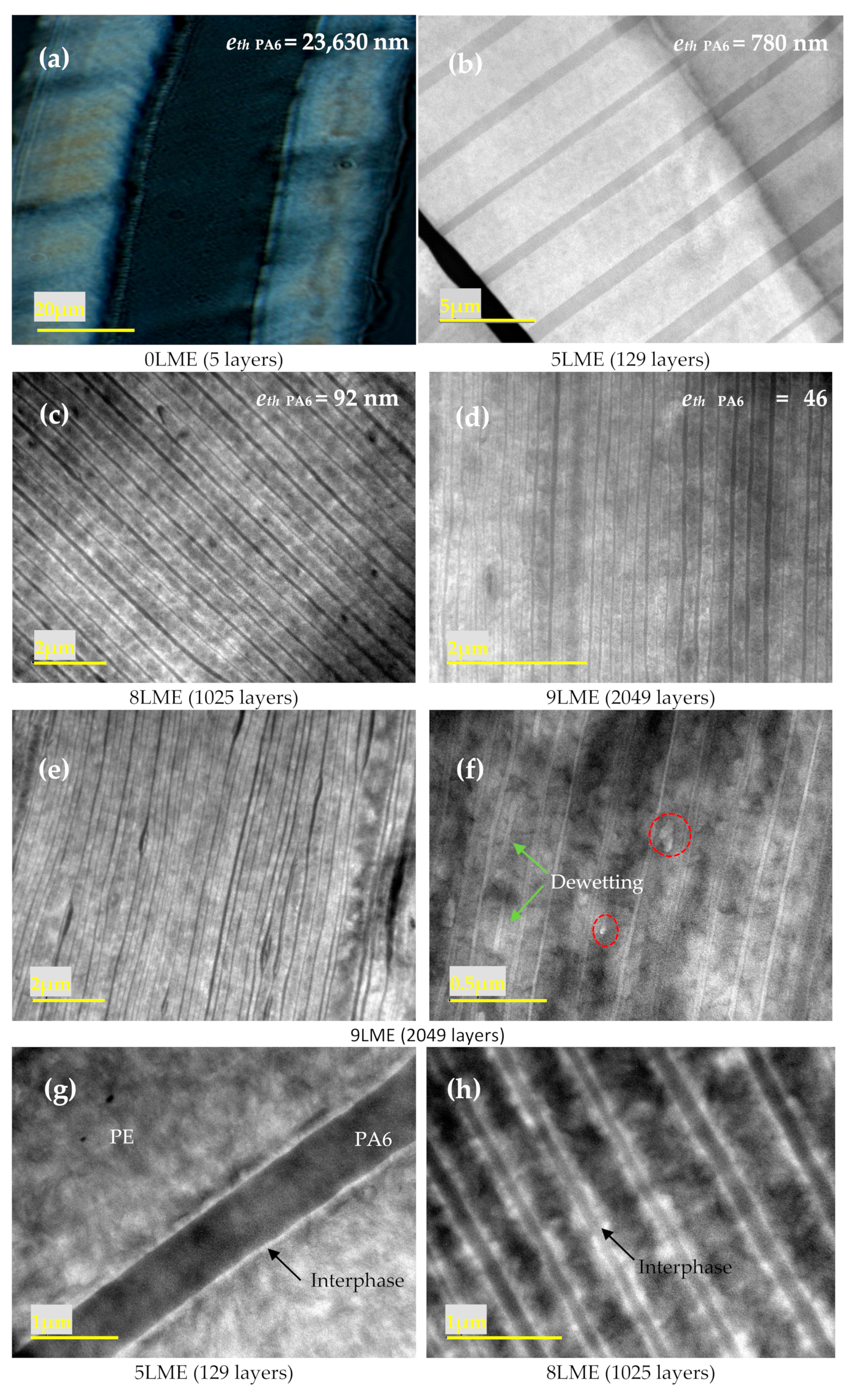 Membranes 11 00075 g002