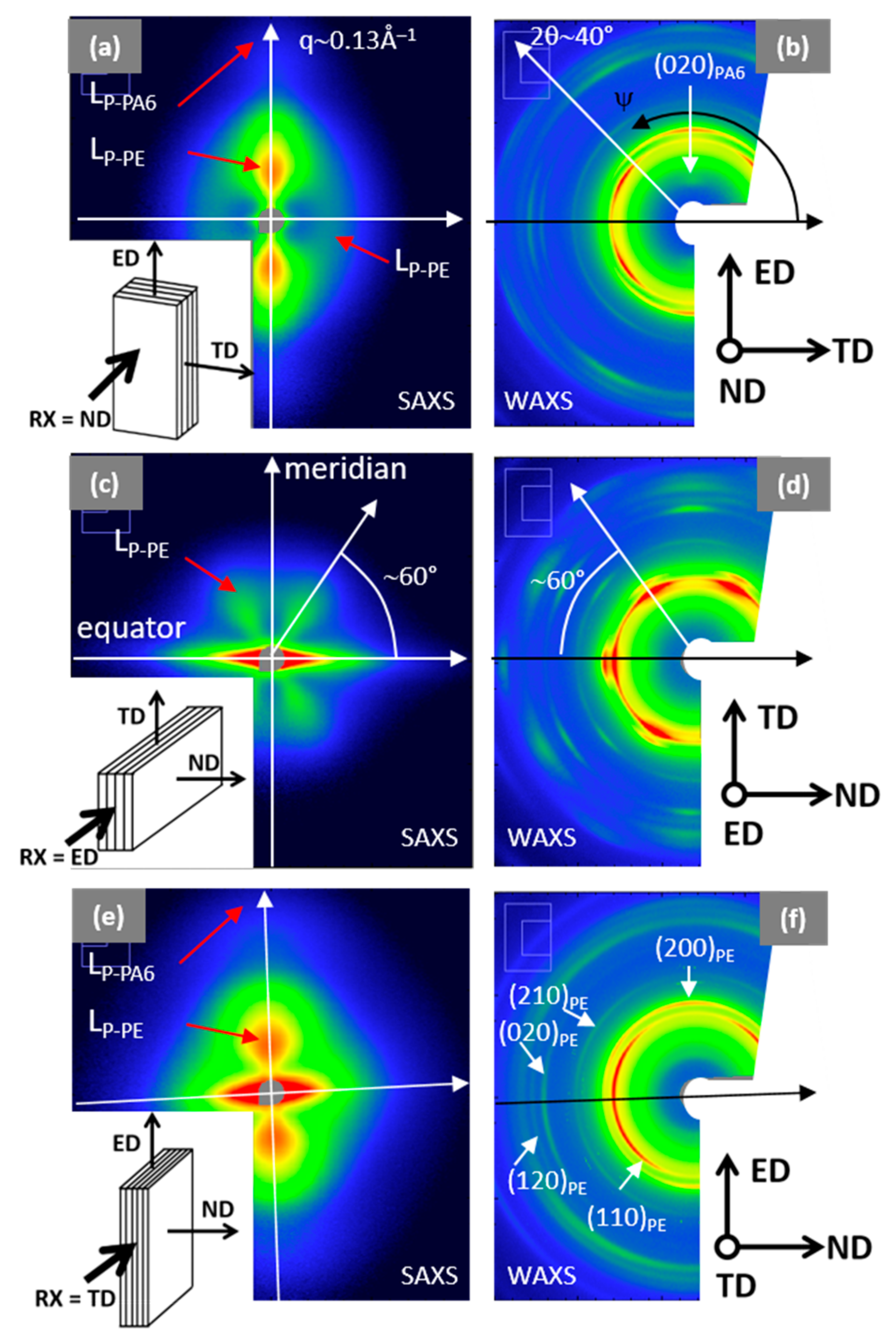 Membranes 11 00075 g005