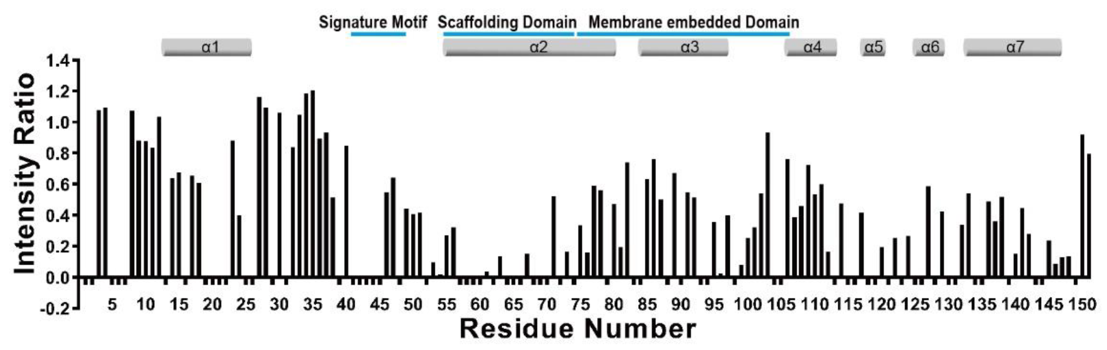 Membranes 11 00082 g002