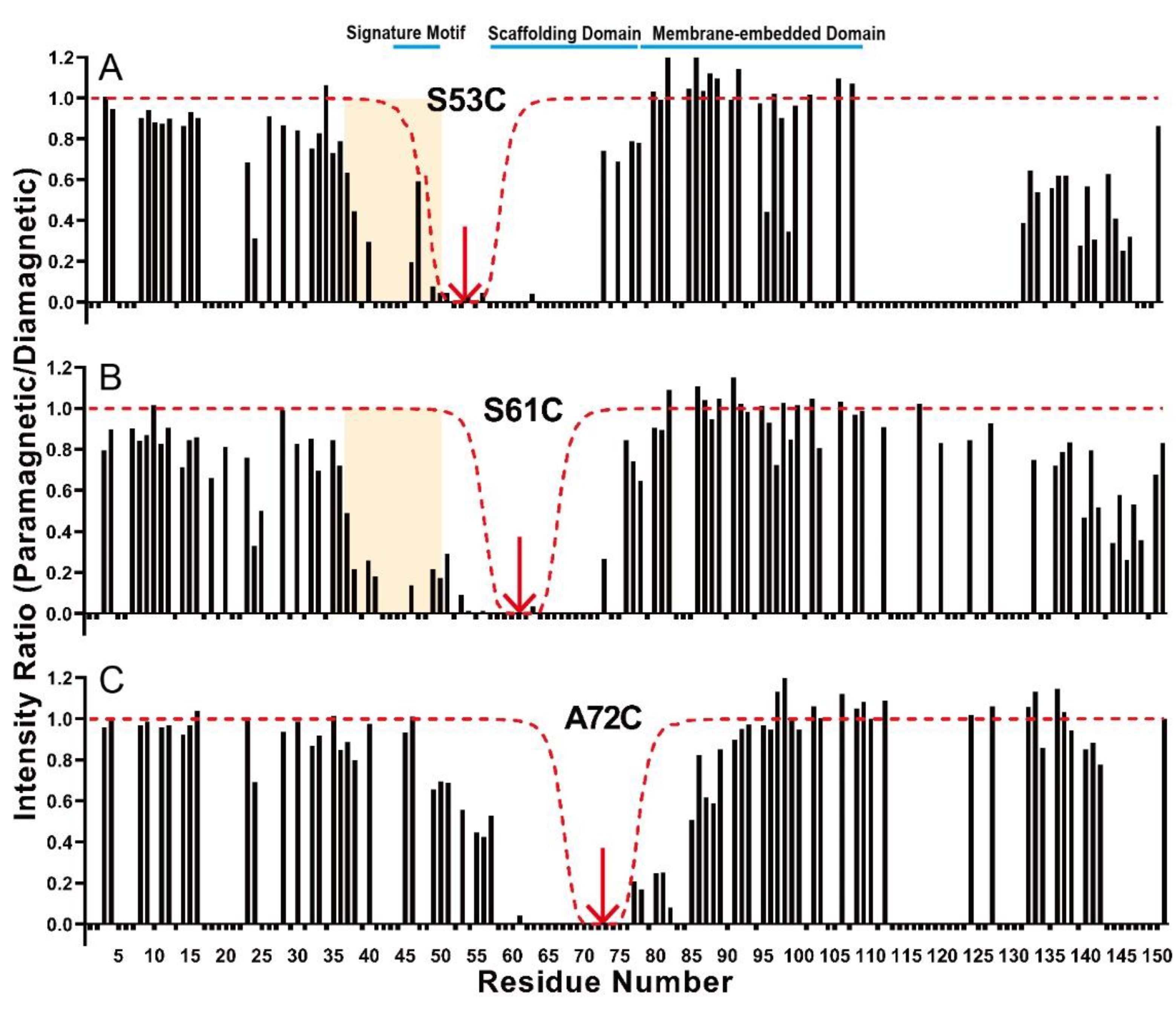 Membranes 11 00082 g003
