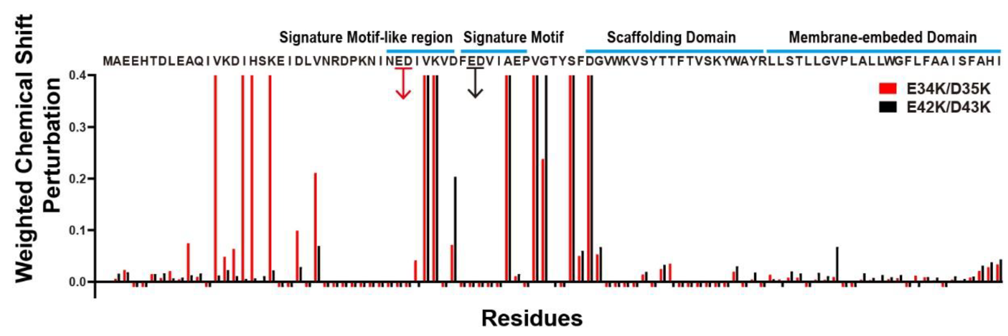 Membranes 11 00082 g004