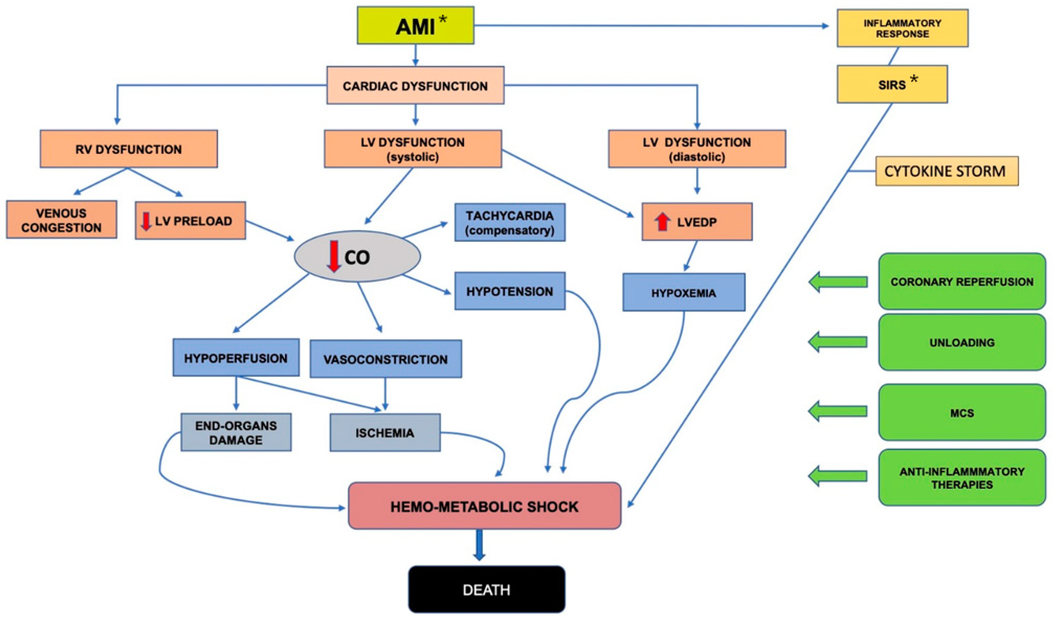 Membranes 11 00087 g001