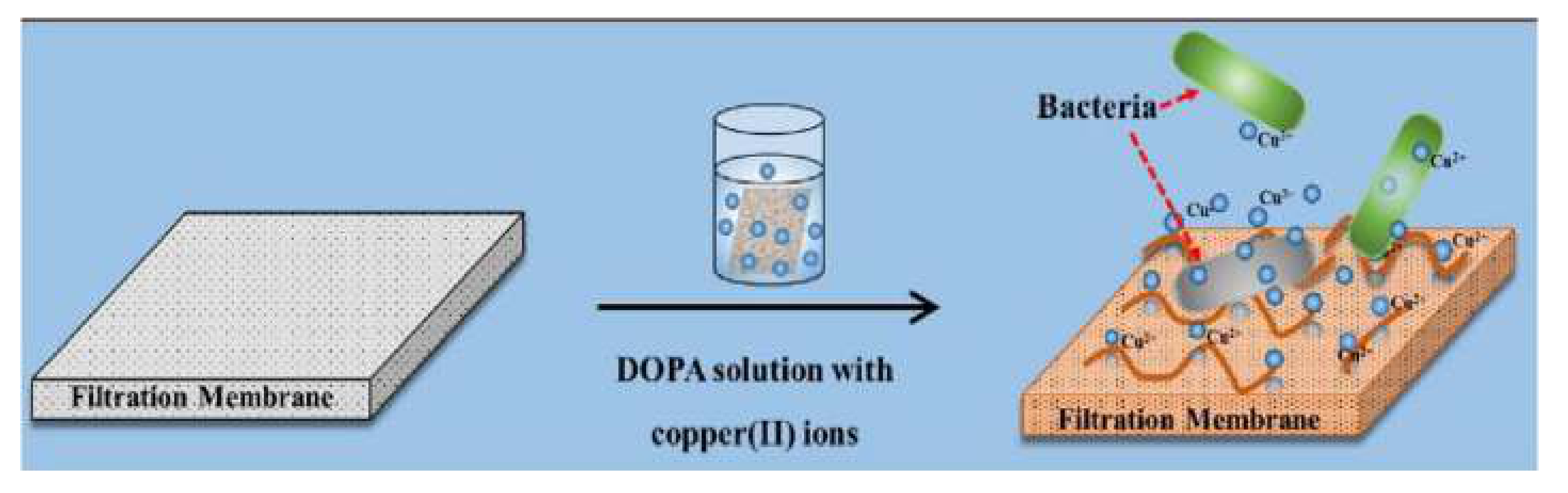 Membranes 11 00093 g008 Membranes 11 00093 g008