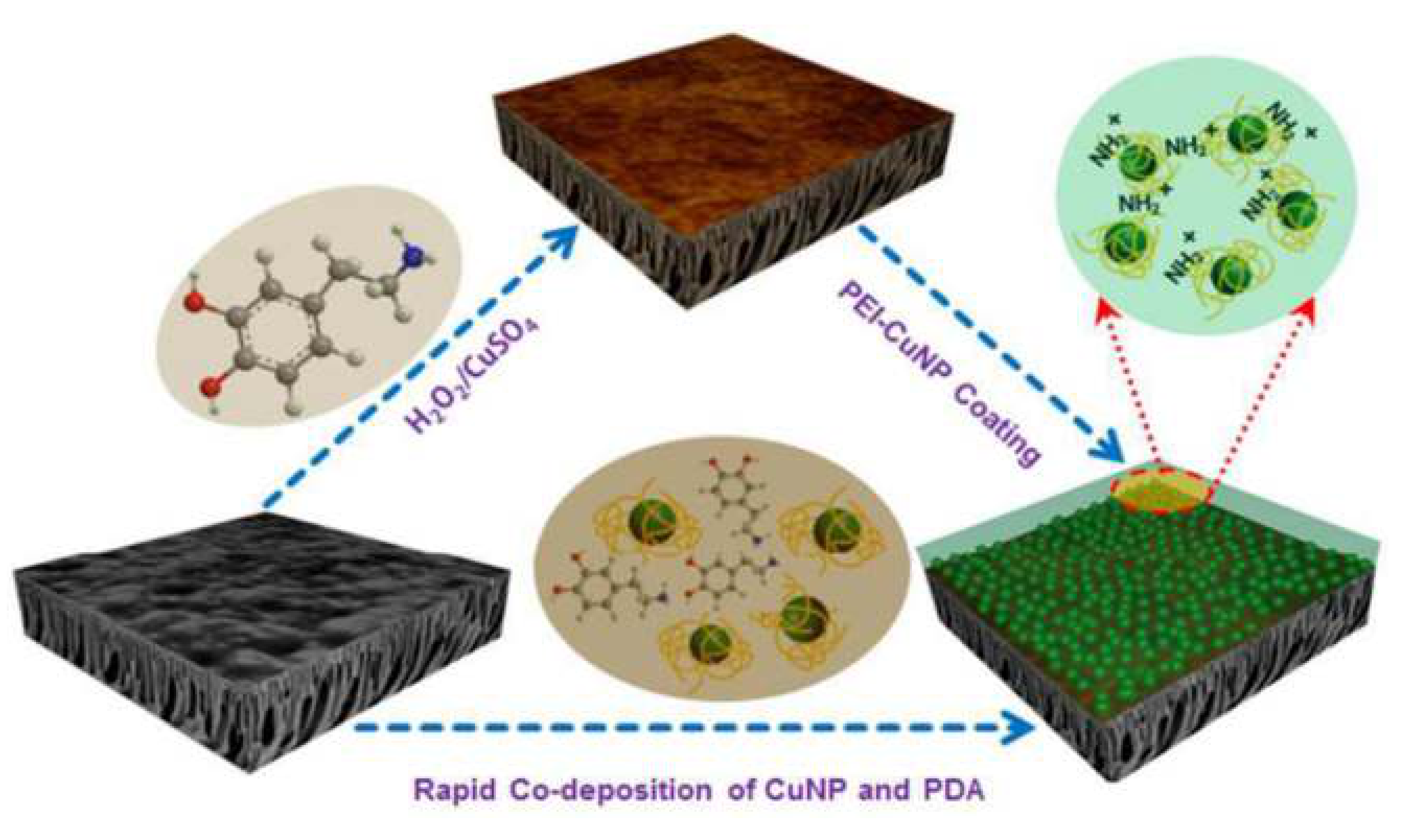 Membranes 11 00093 g009 Membranes 11 00093 g009