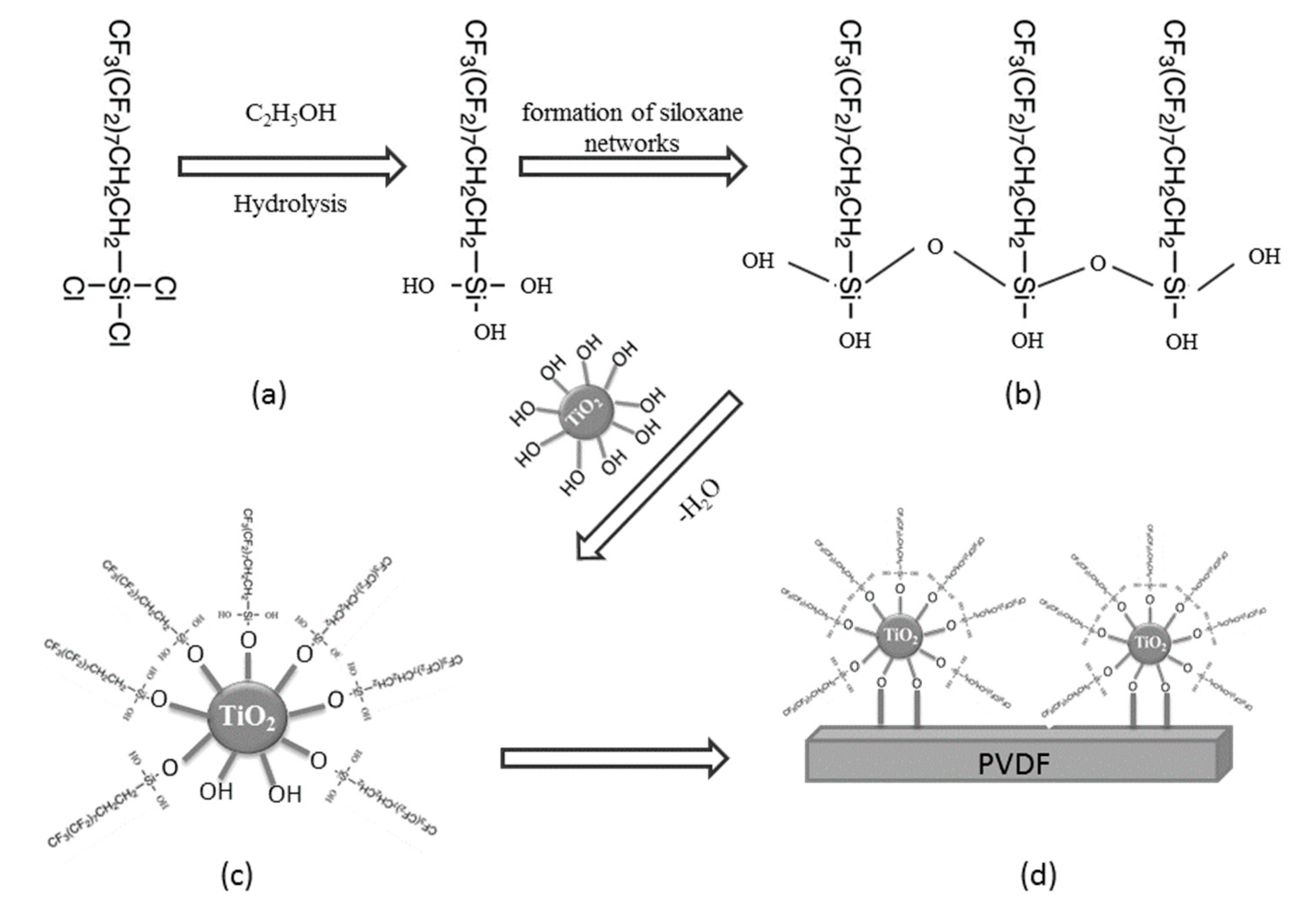 Membranes 11 00095 g007