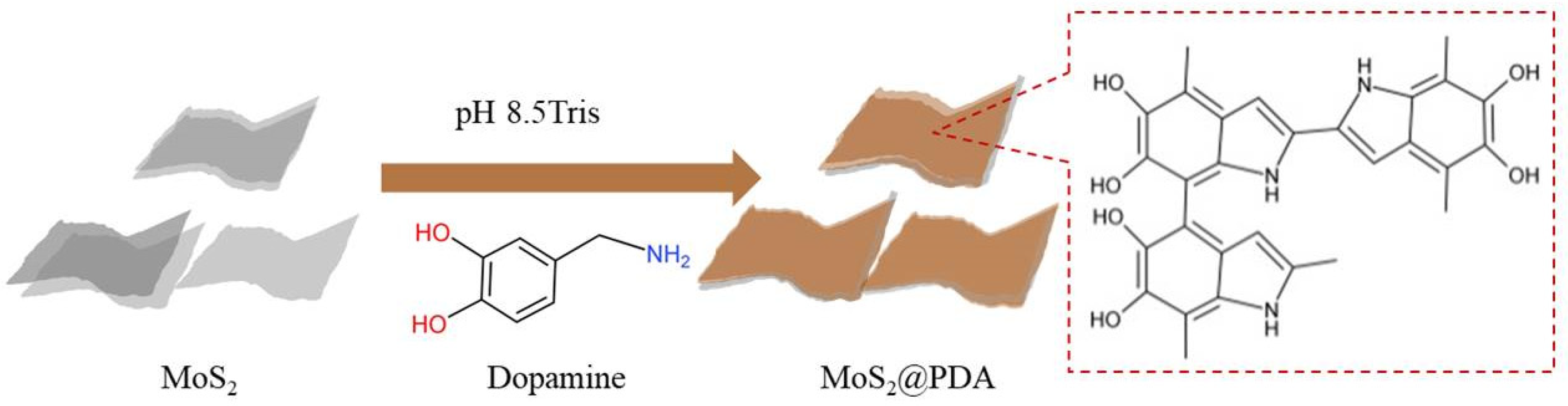 Membranes 11 00096 g001 Membranes 11 00096 g001