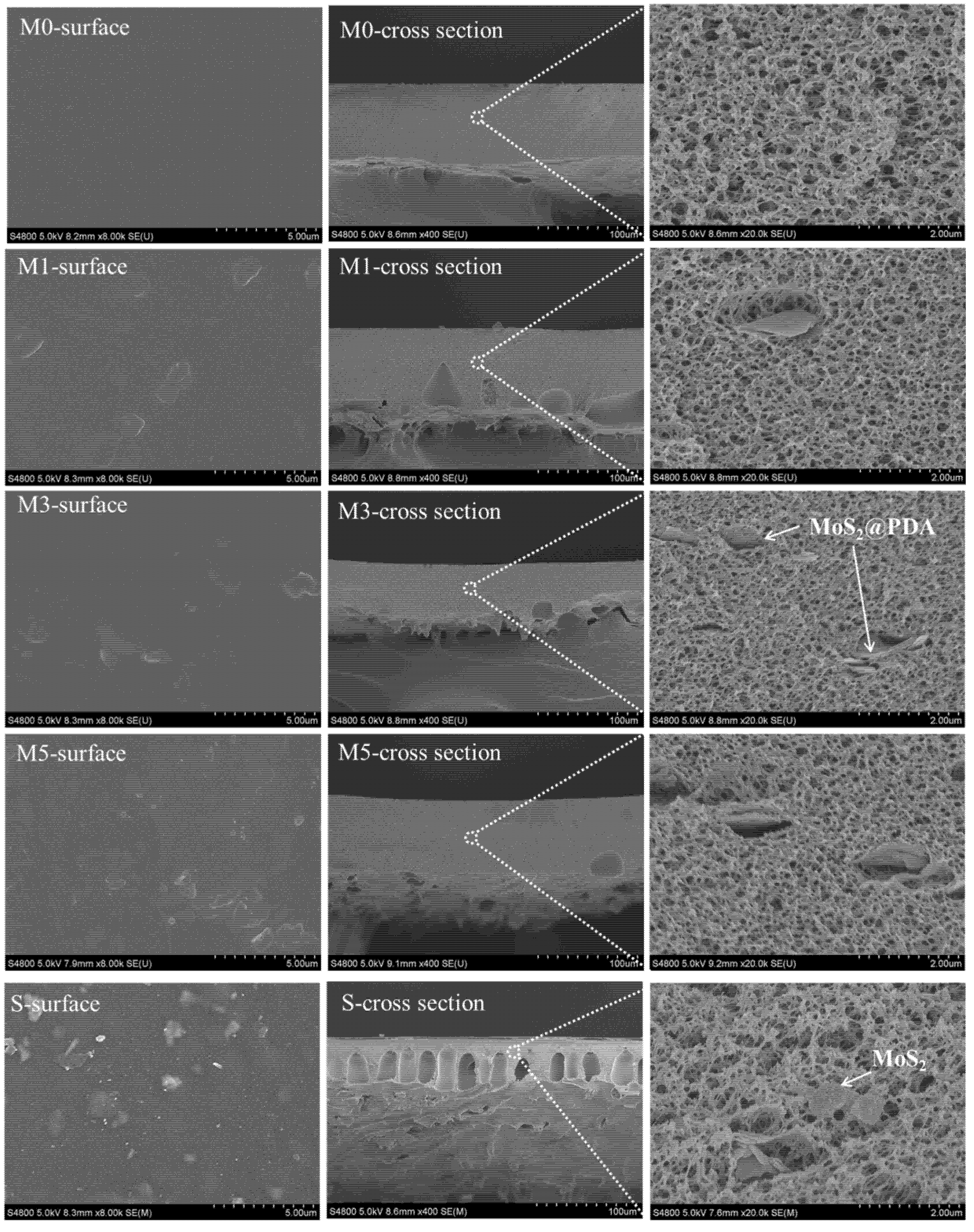 Membranes 11 00096 g006 Membranes 11 00096 g006