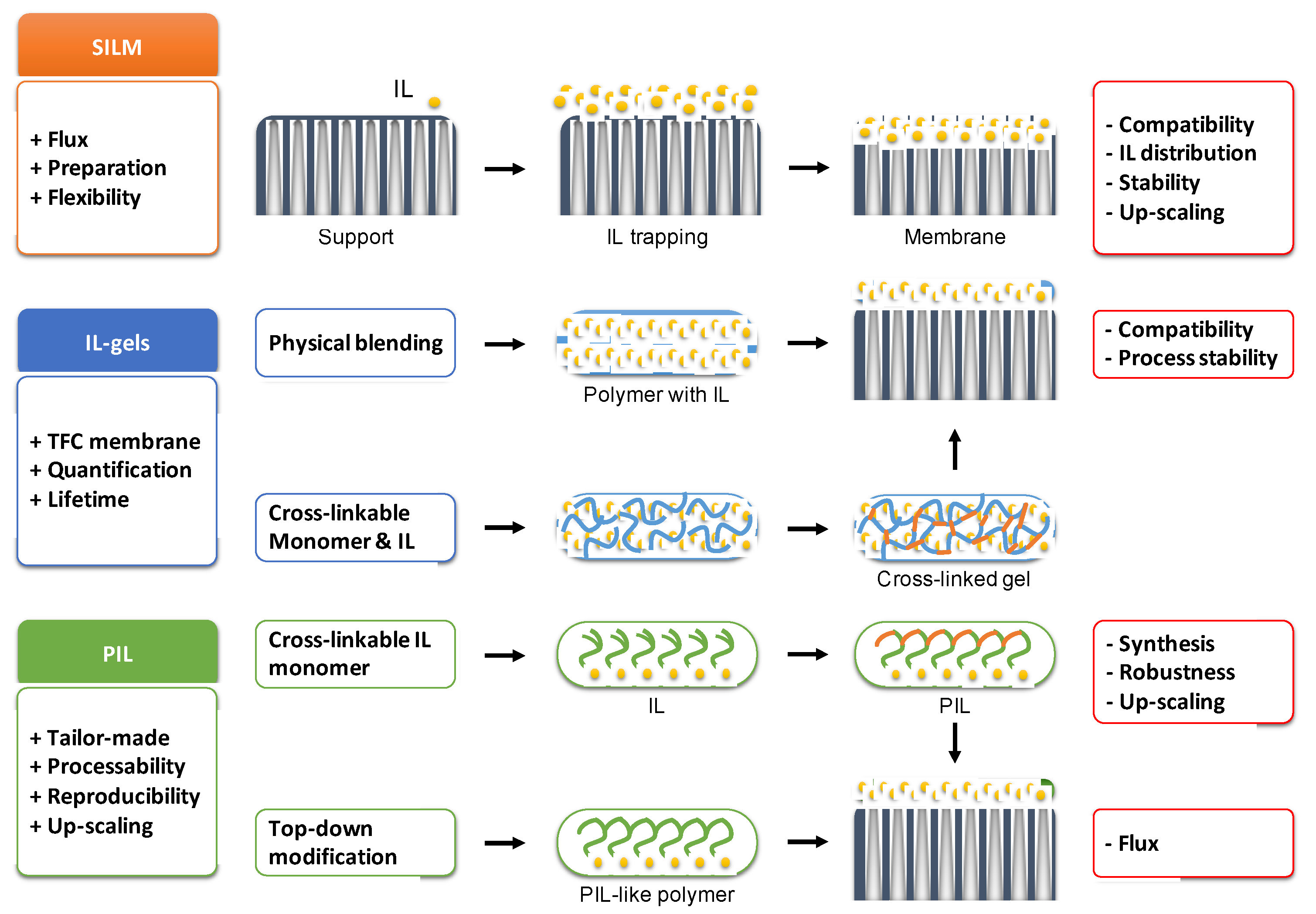 Membranes 11 00097 g002