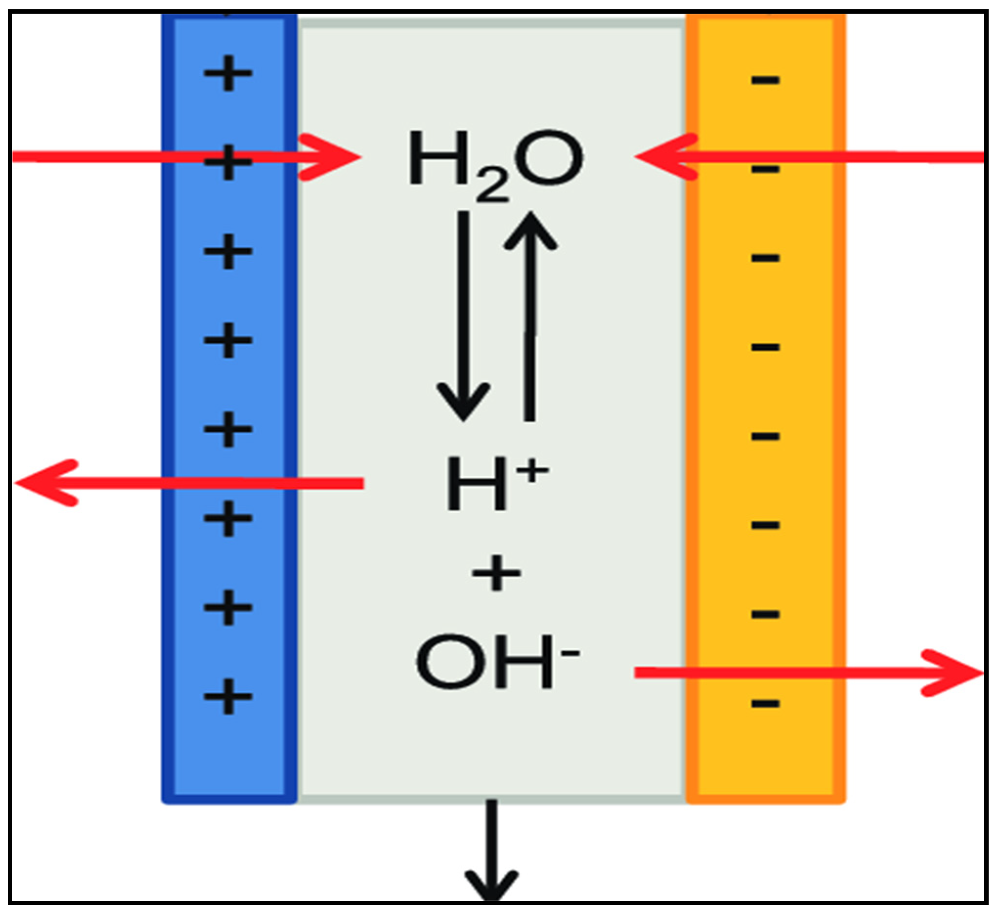 Membranes 11 00101 g001
