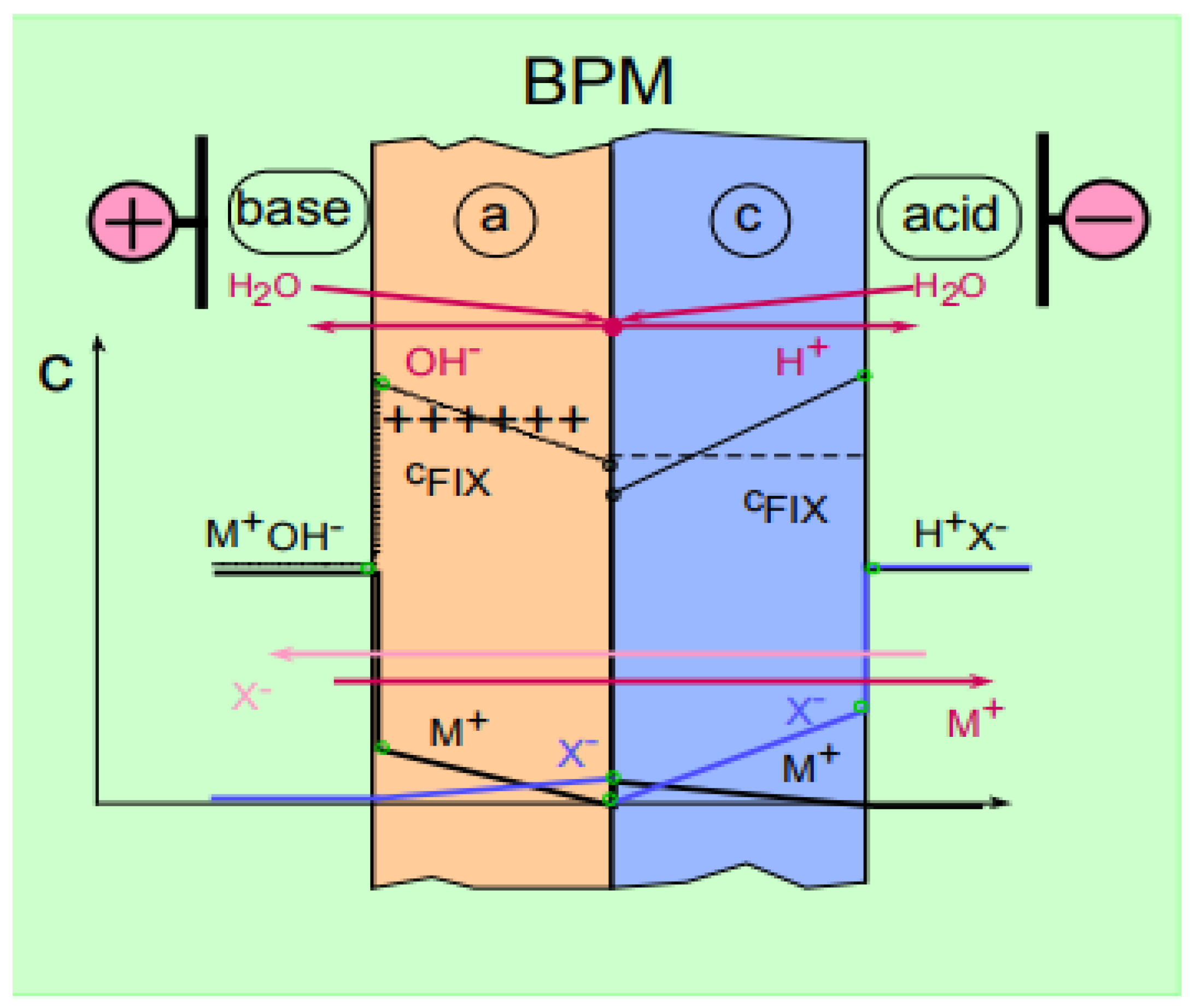 Membranes 11 00101 g002
