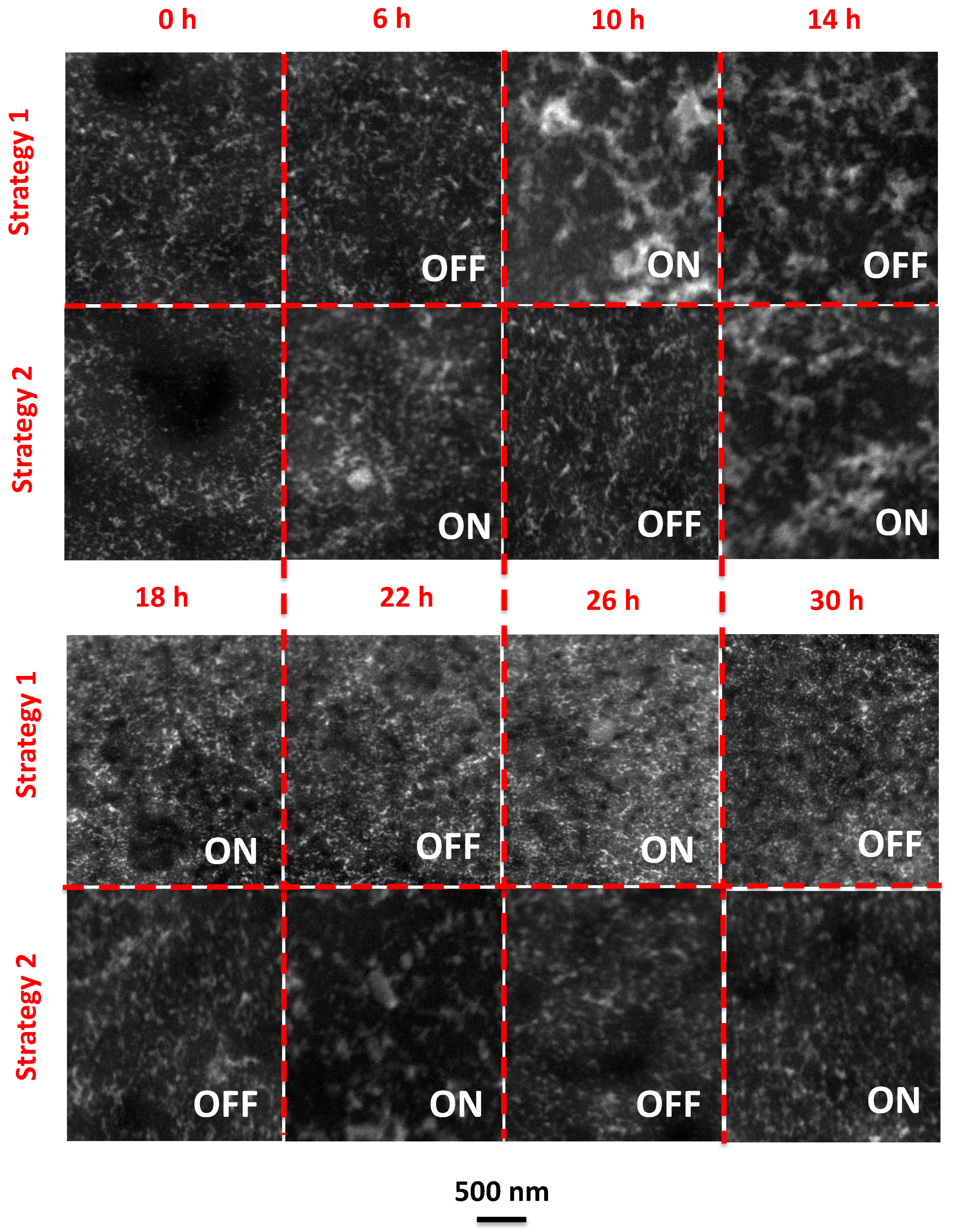 Membranes 11 00105 g005