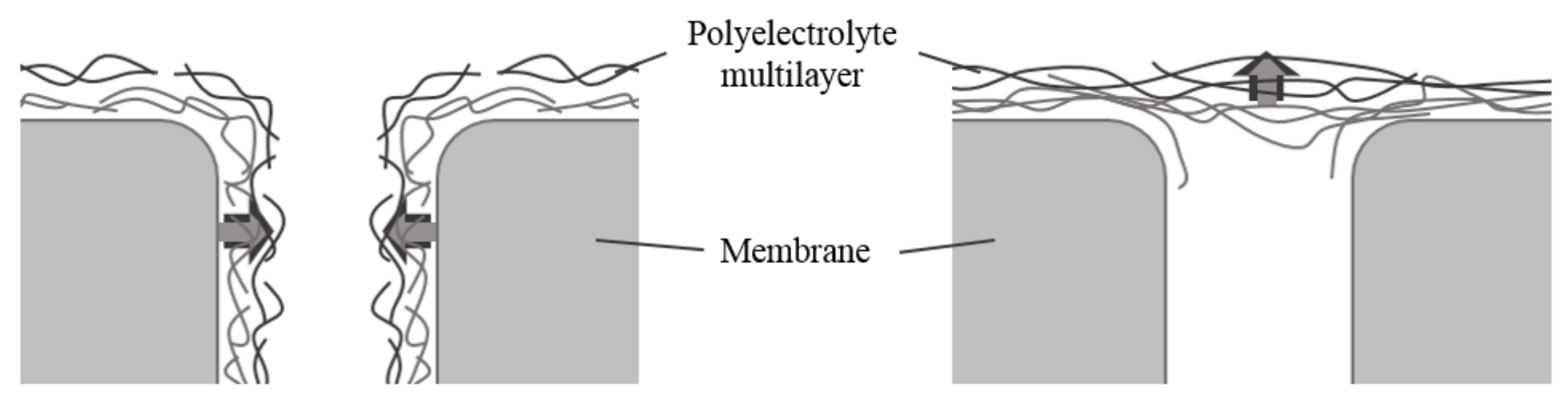 Membranes 11 00106 g001 Membranes 11 00106 g001