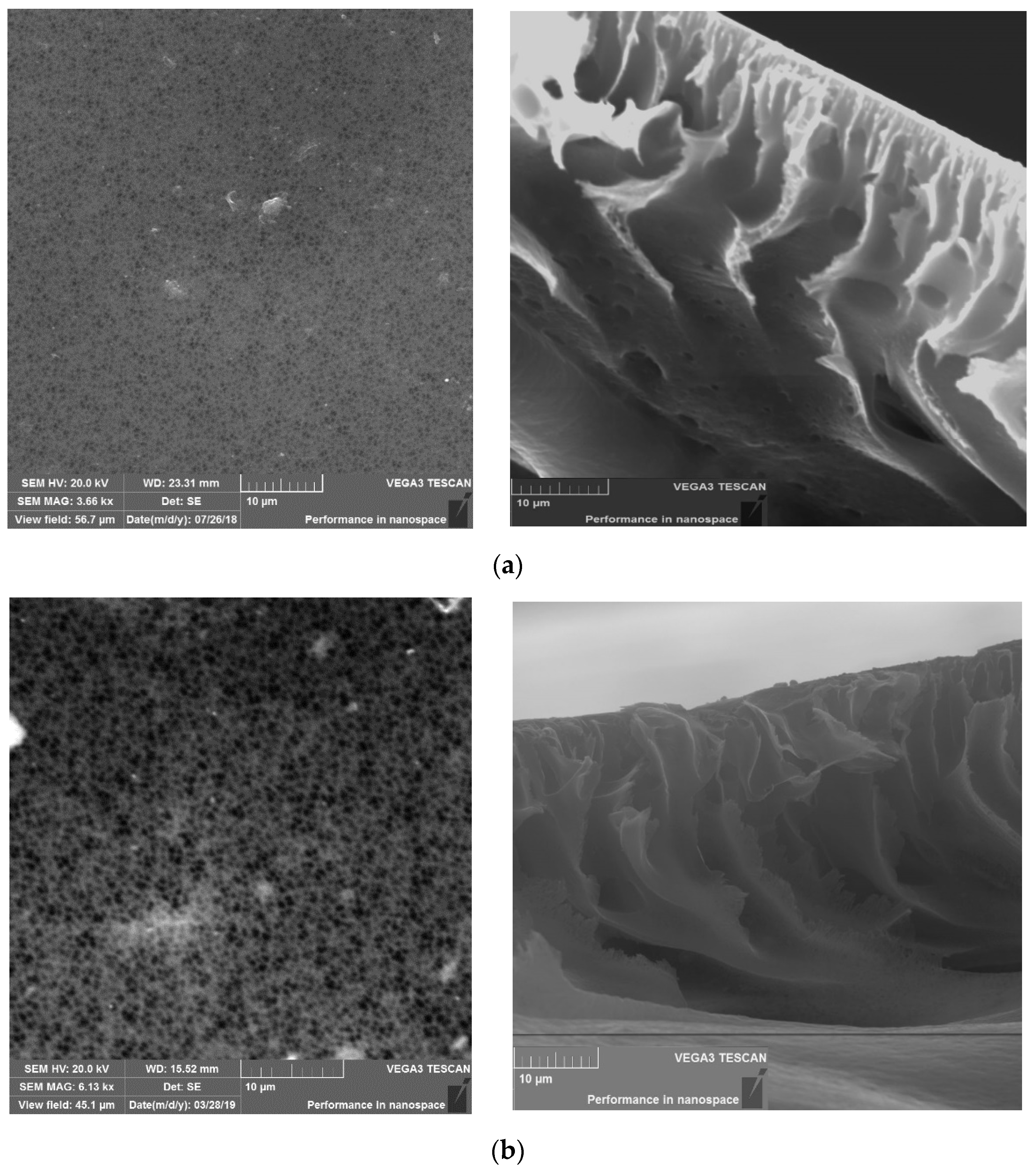 Membranes 11 00114 g004a Membranes 11 00114 g004a