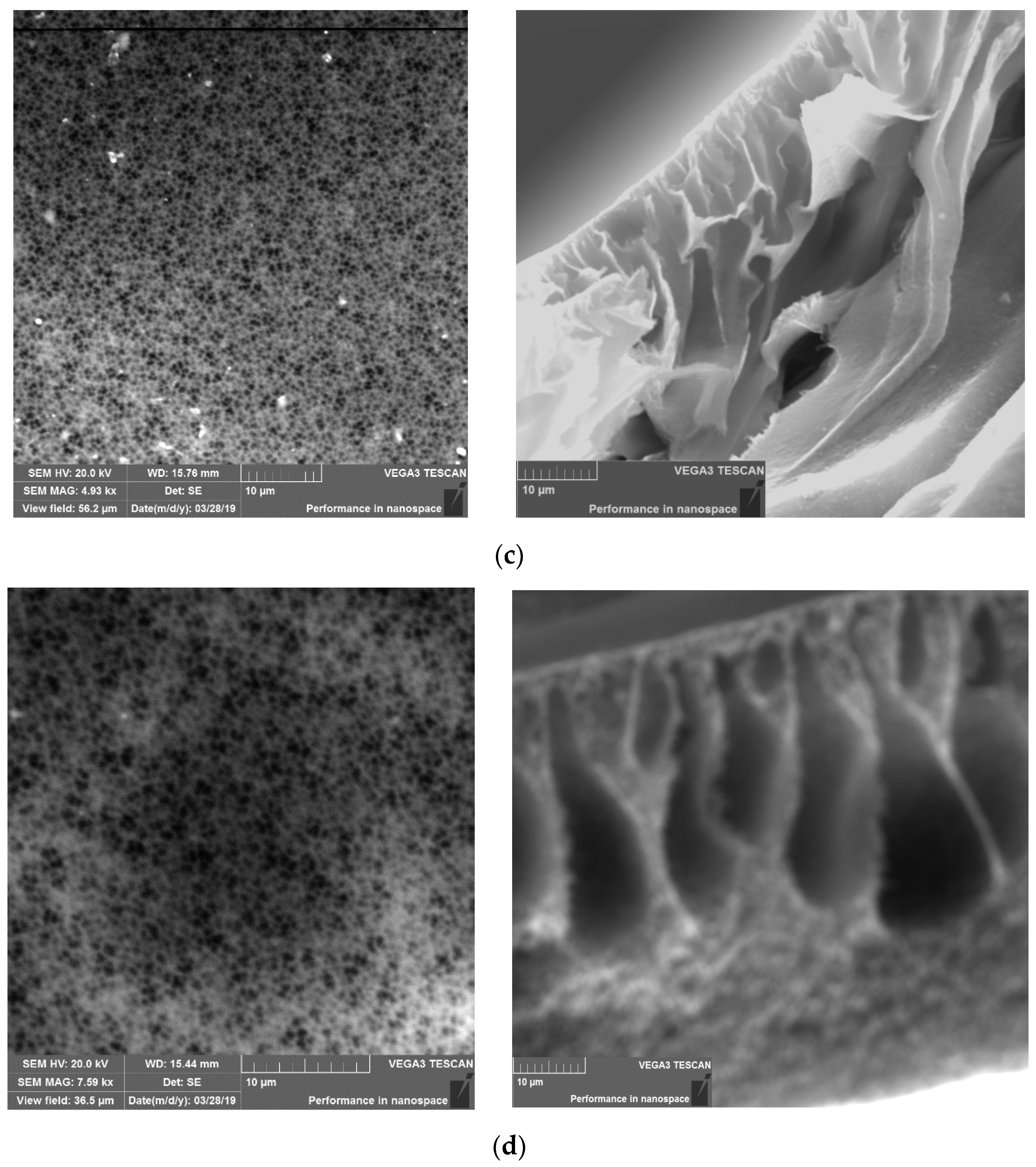 Membranes 11 00114 g004b Membranes 11 00114 g004b