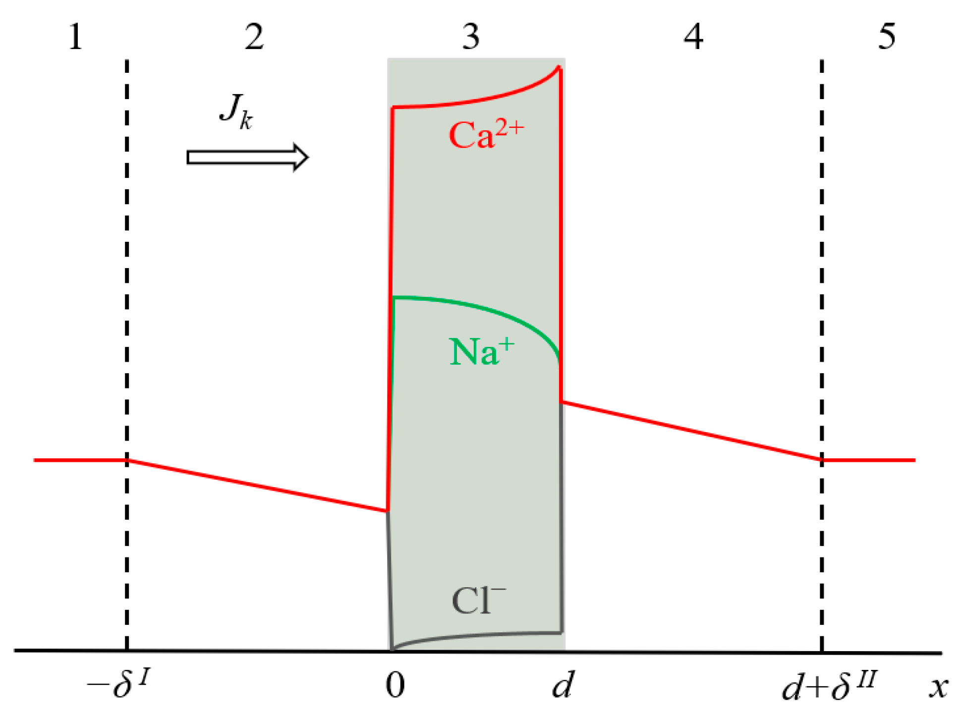 Membranes 11 00115 g001 Membranes 11 00115 g001