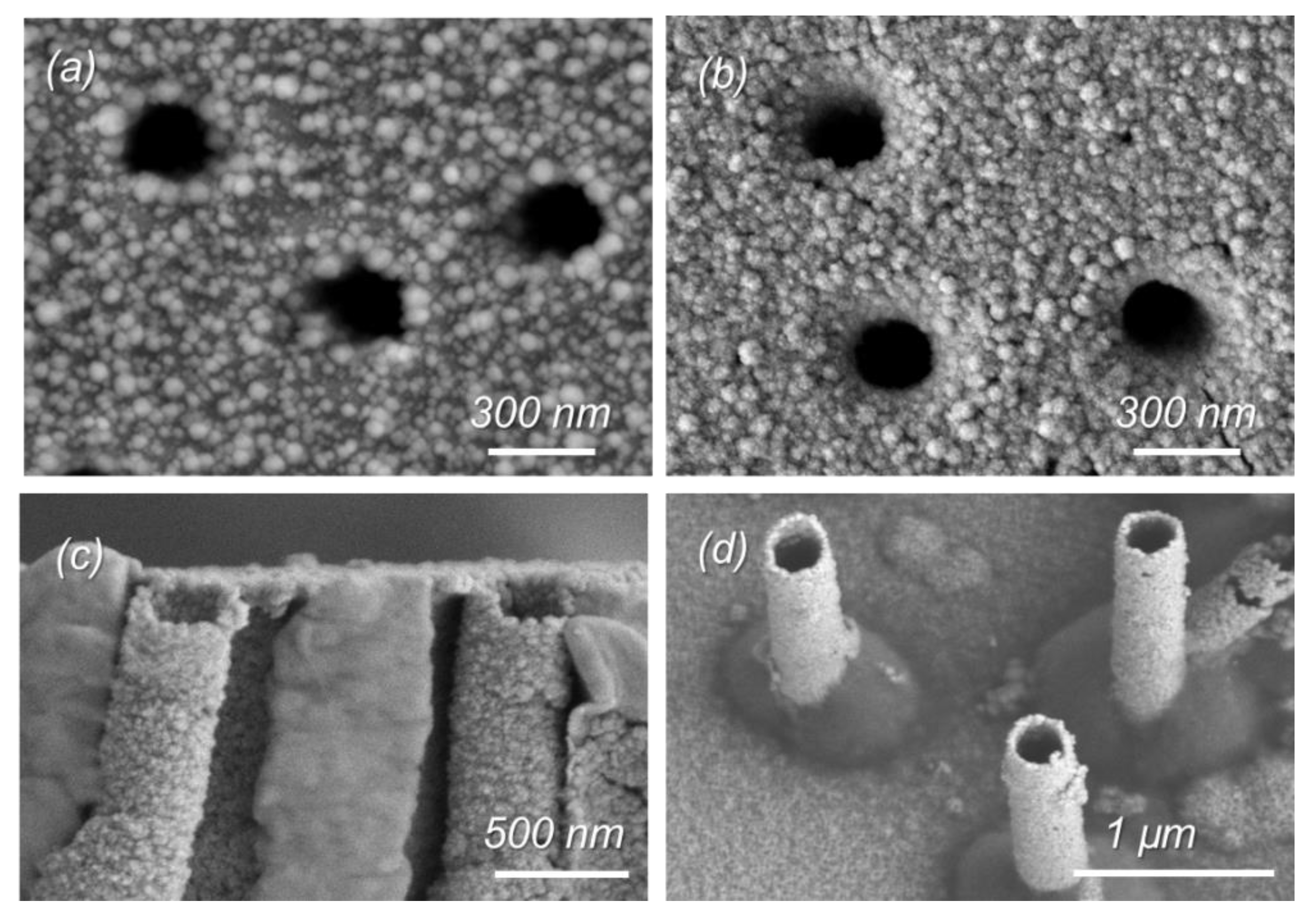 Membranes Free Full Text Kinetic And Isotherm Study Of As Iii Removal From Aqueous Solution By Pet Track Etched Membranes Loaded With Copper Microtubes Html