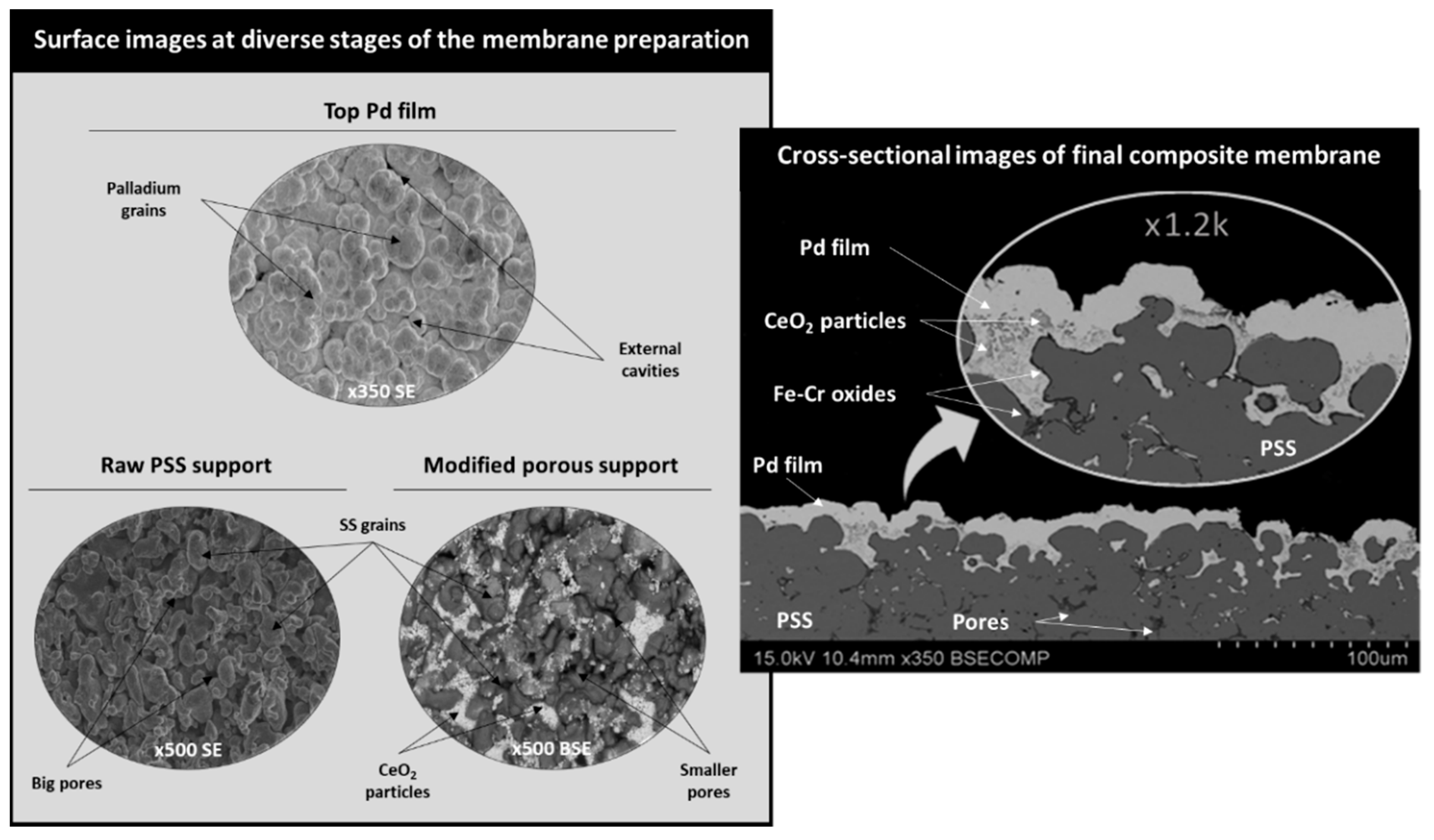 Membranes 11 00123 g003 Membranes 11 00123 g003