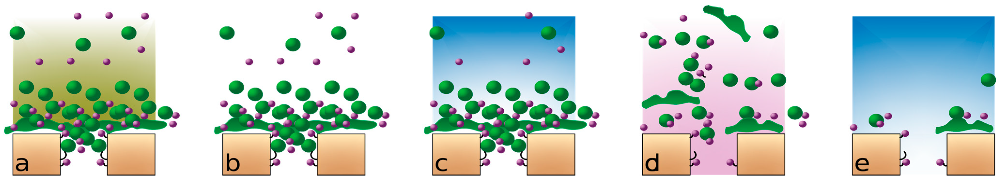 Membranes 11 00131 g002