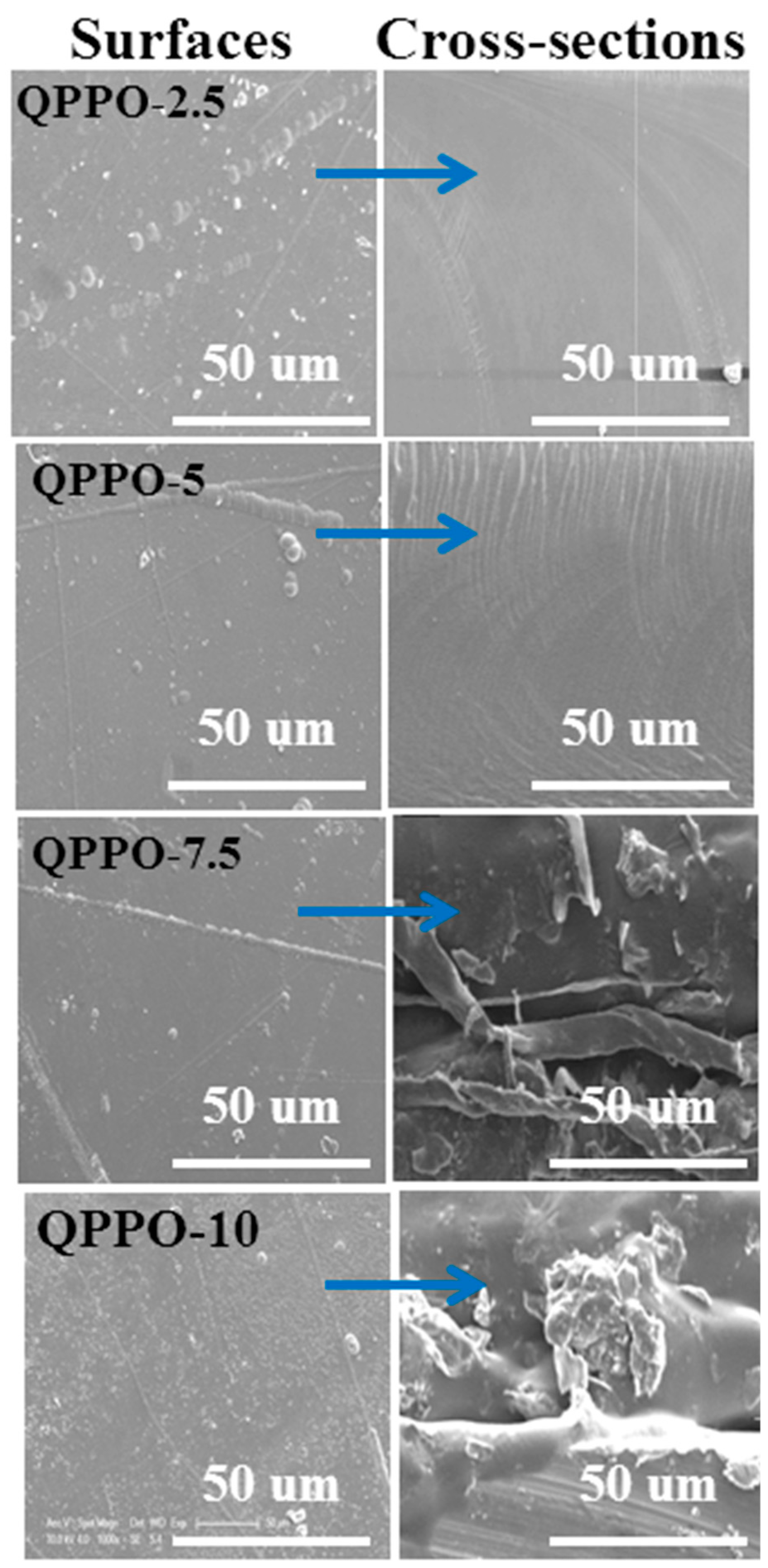 Membranes 11 00133 g004 Membranes 11 00133 g004