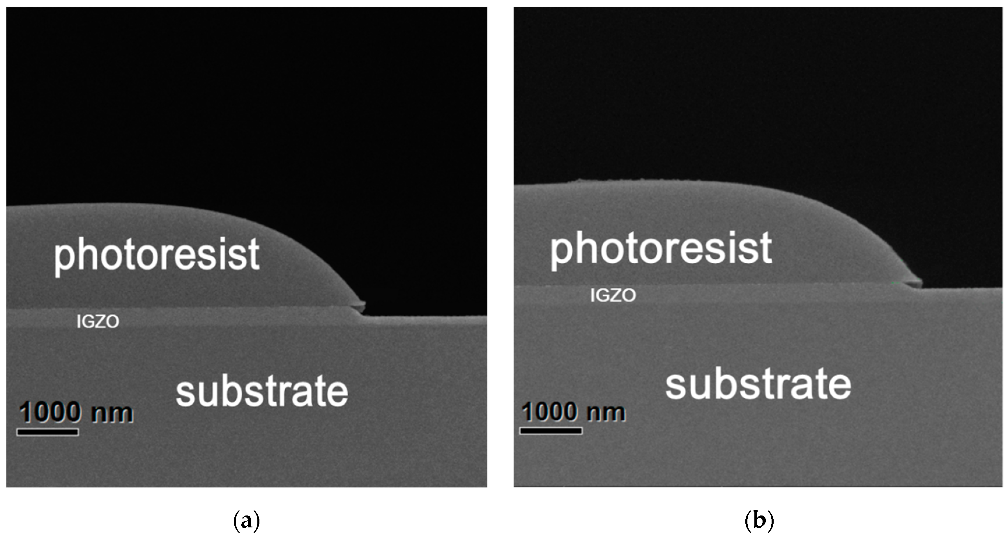 Membranes 11 00134 g005