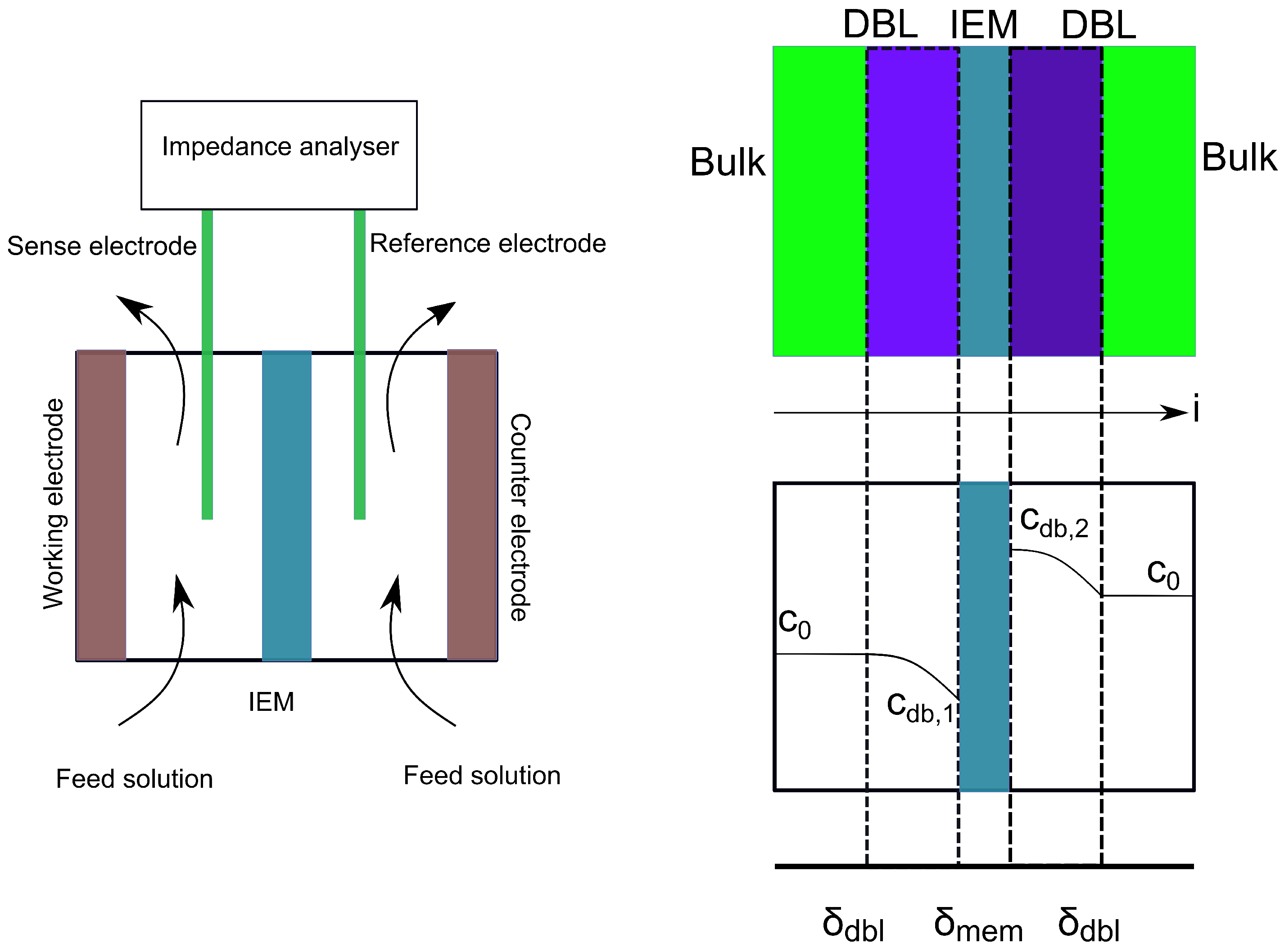 Membranes 11 00135 g002 Membranes 11 00135 g002