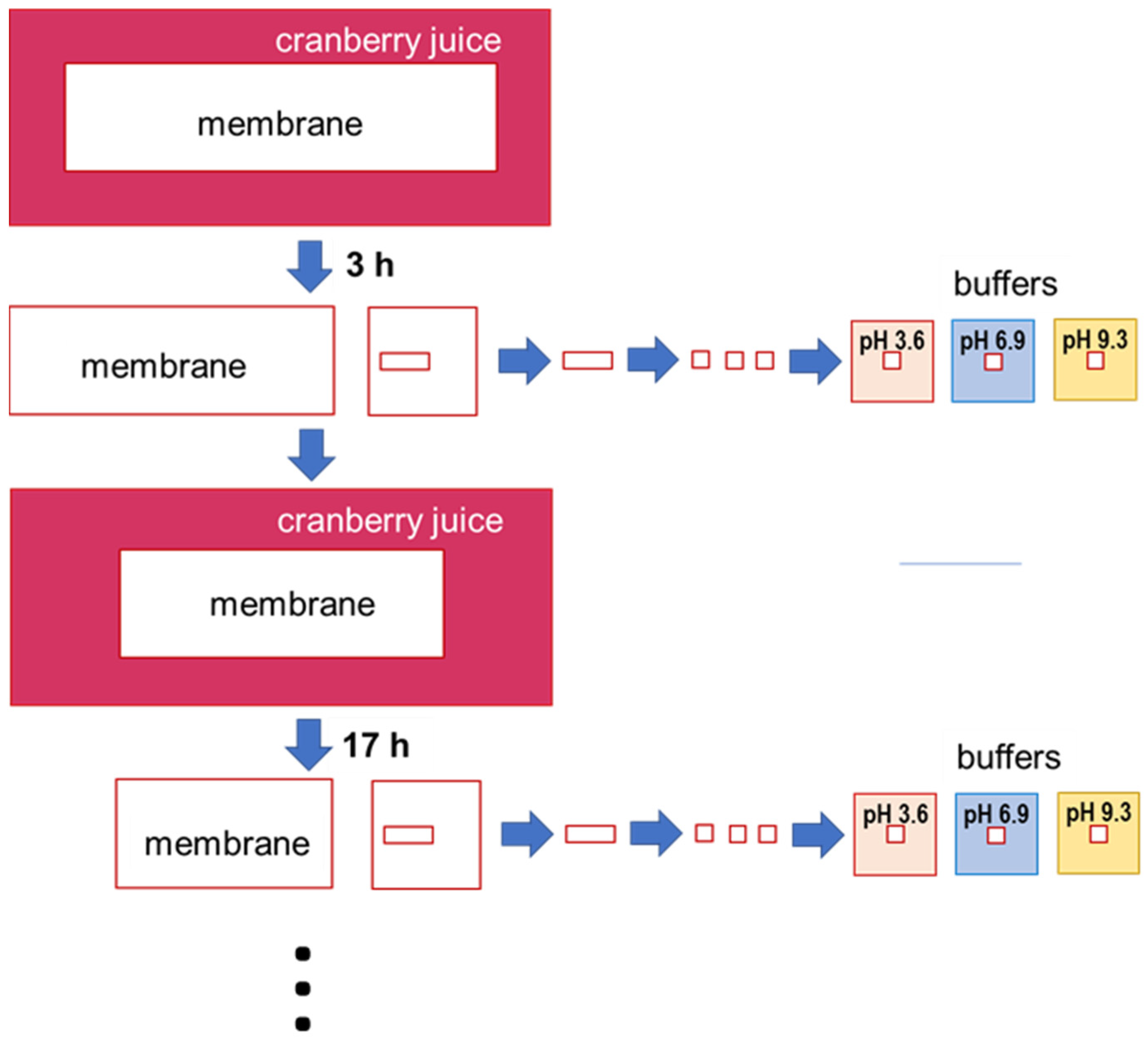 Membranes 11 00136 g002