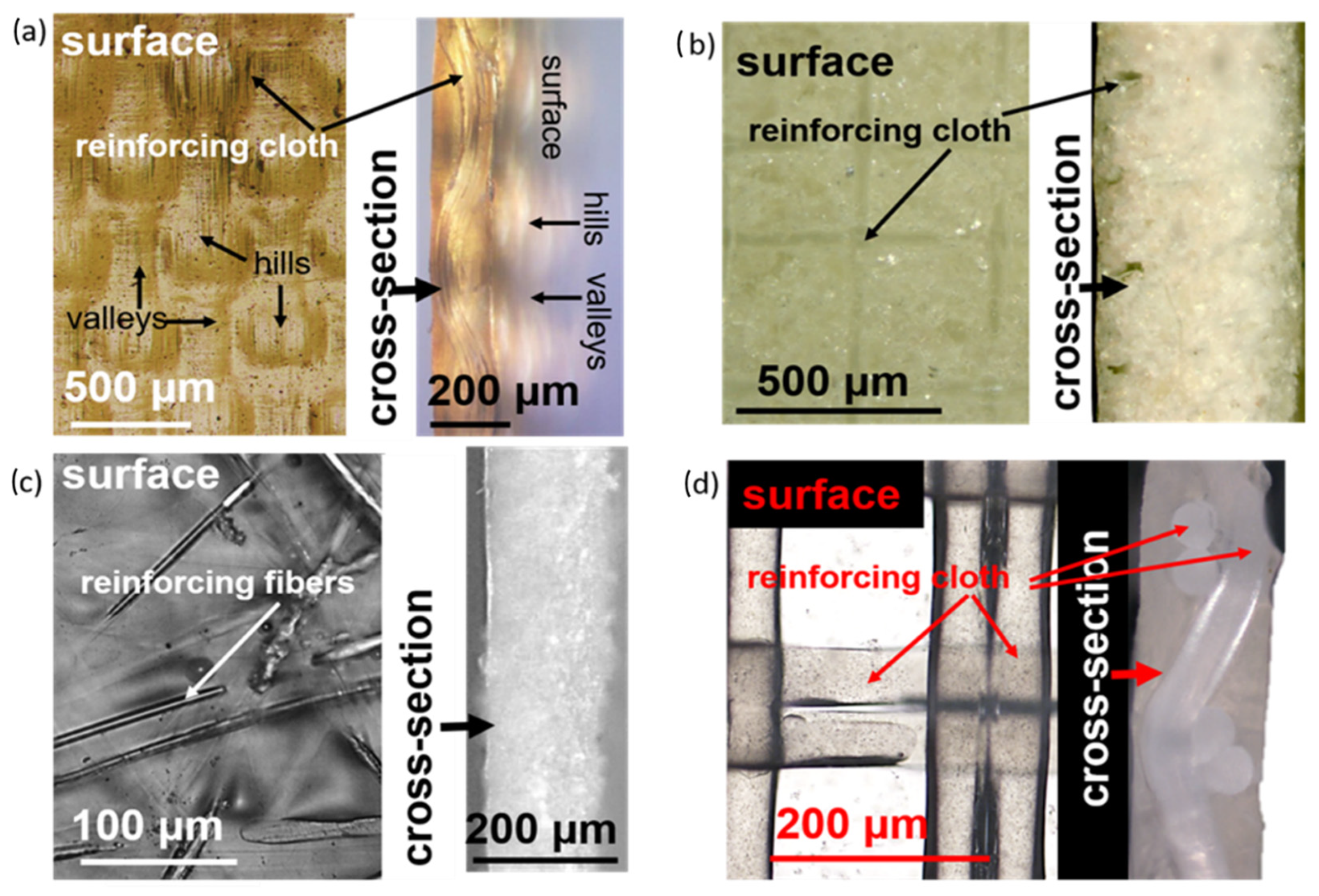 Membranes 11 00136 g003