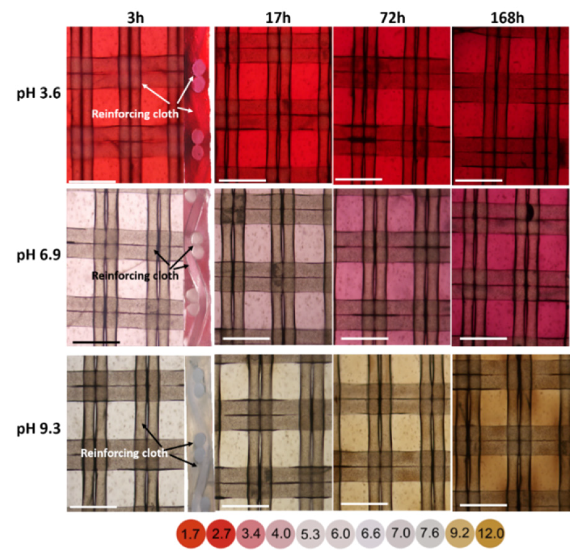 Membranes 11 00136 g006