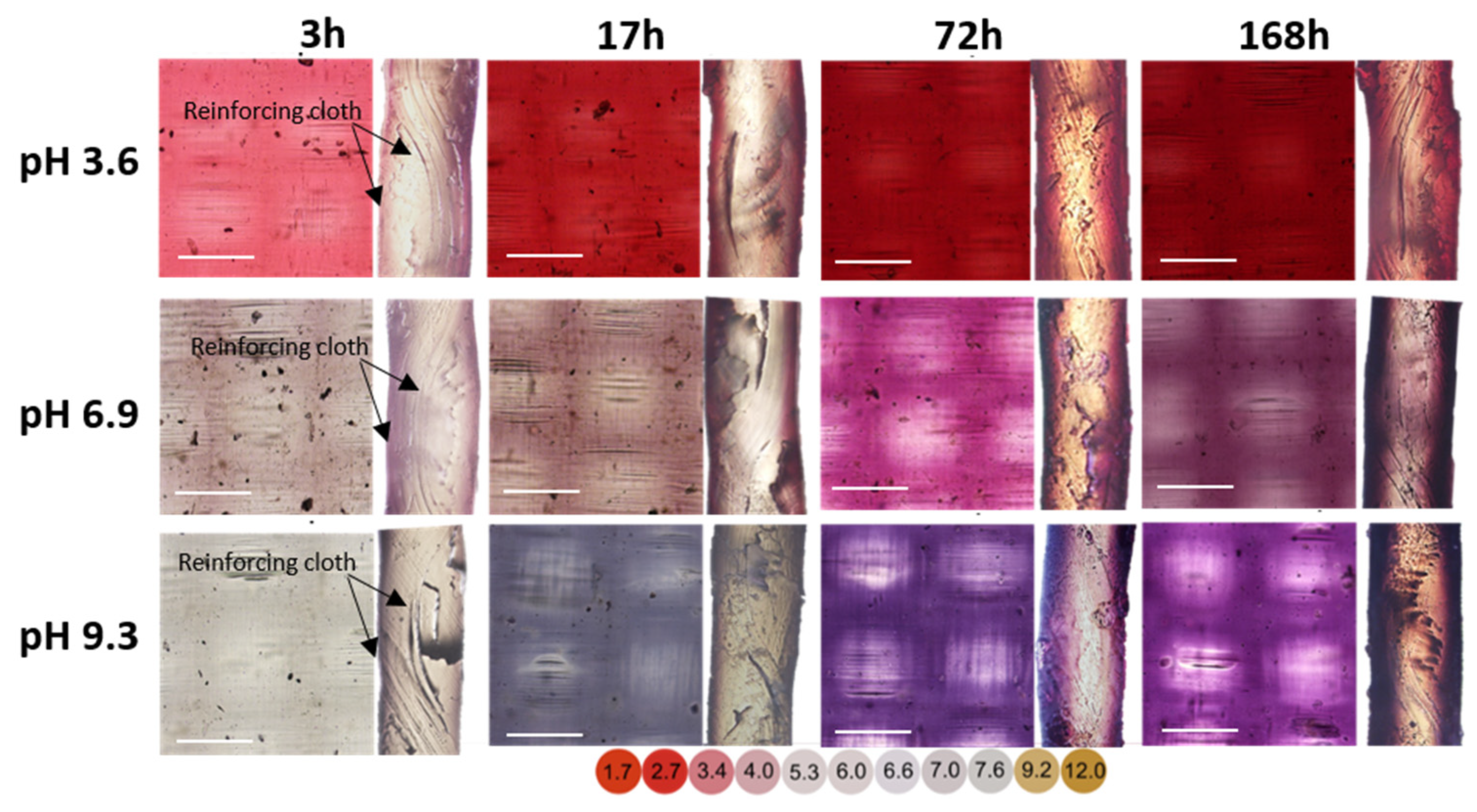 Membranes 11 00136 g008