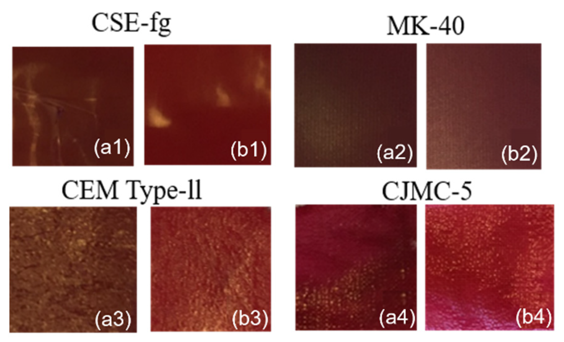 Membranes 11 00136 g009