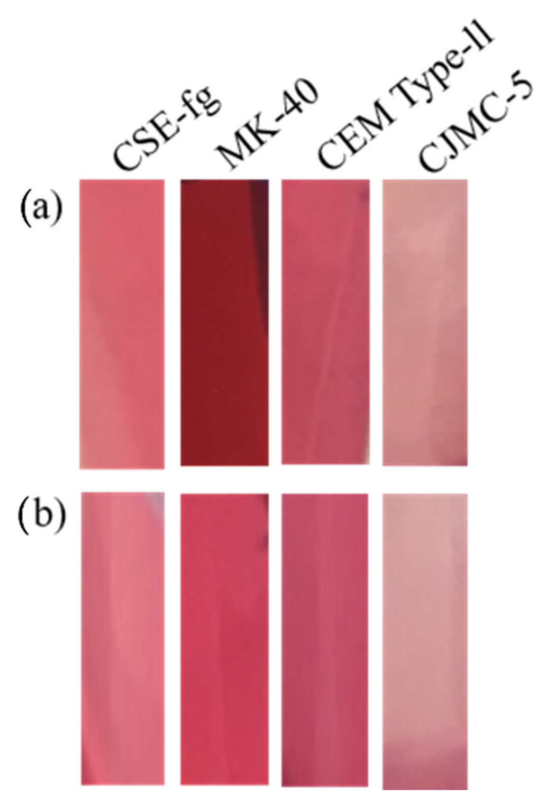 Membranes 11 00136 g010