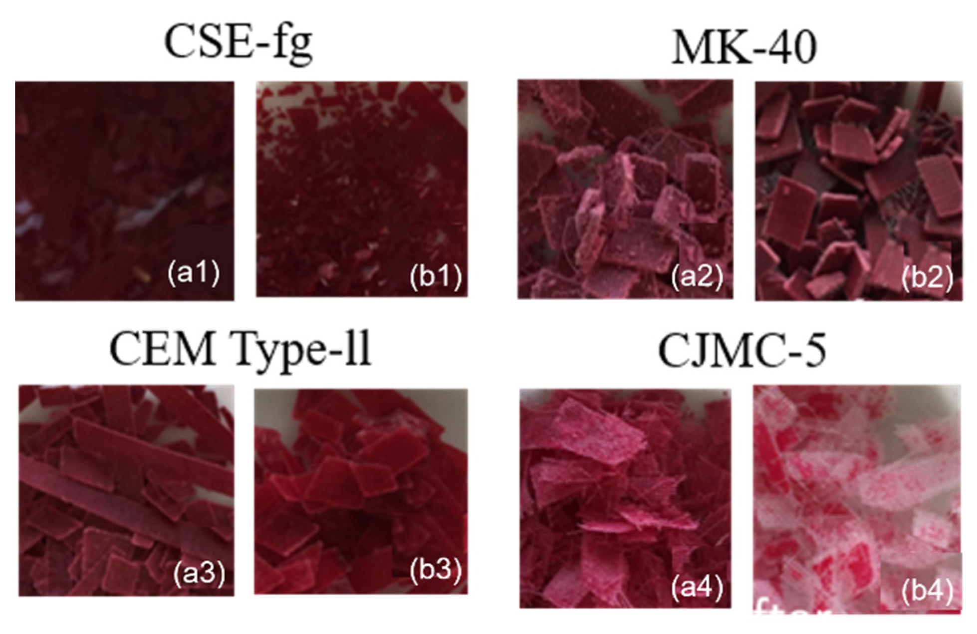 Membranes 11 00136 g012