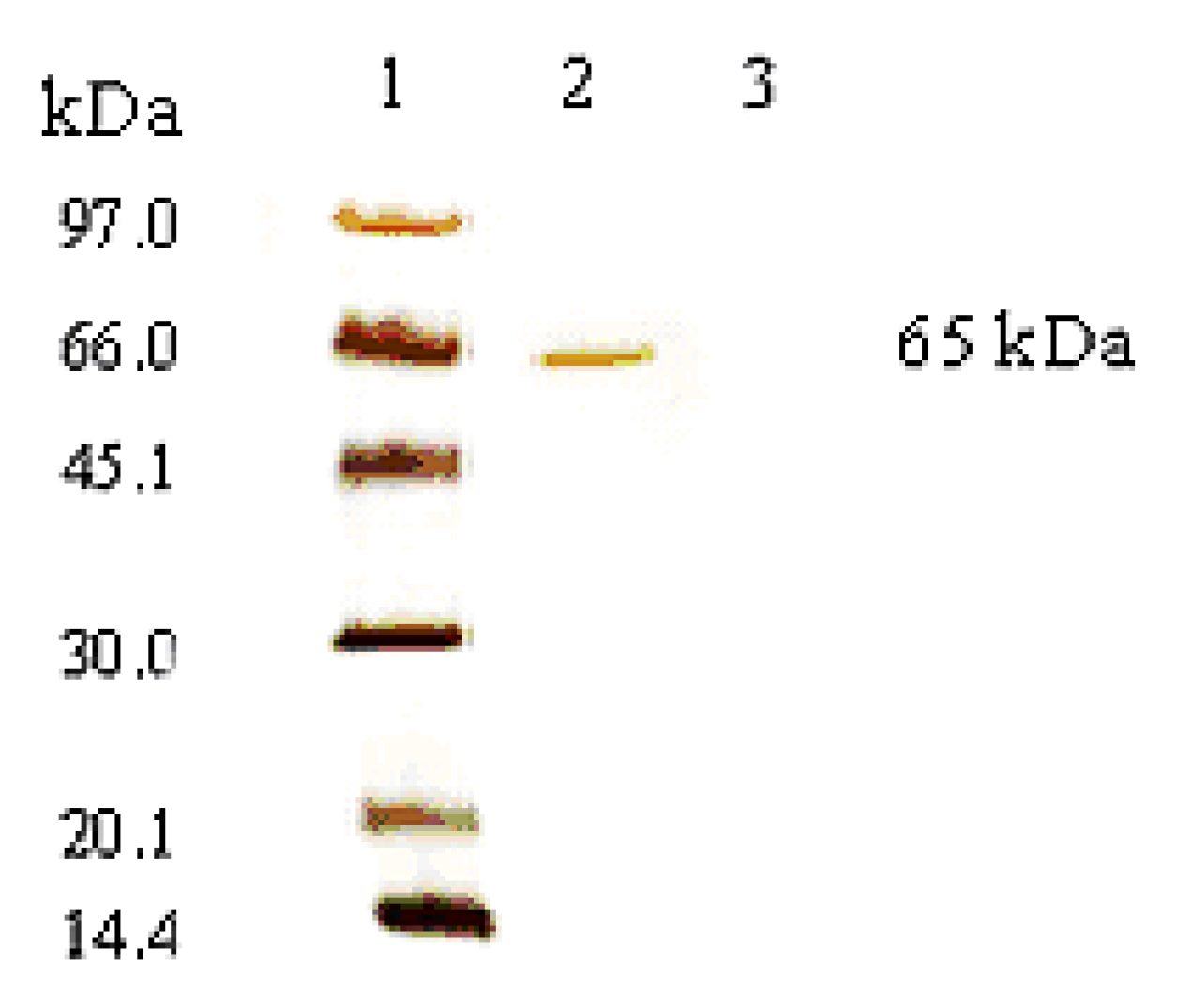 Membranes 11 00137 g007