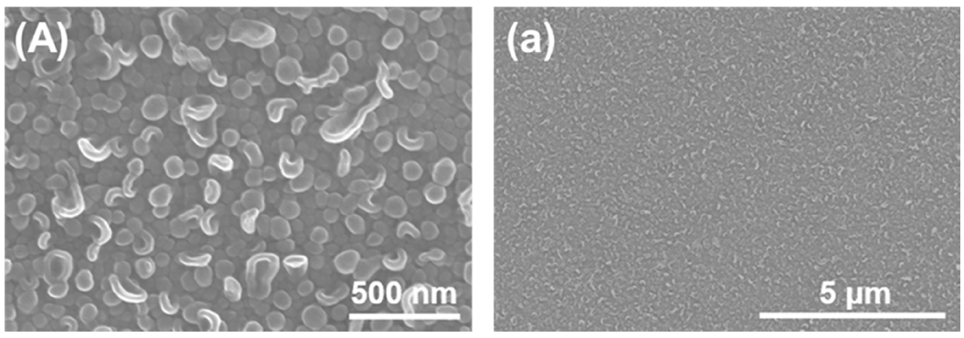 Membranes 11 00142 g001a Membranes 11 00142 g001a