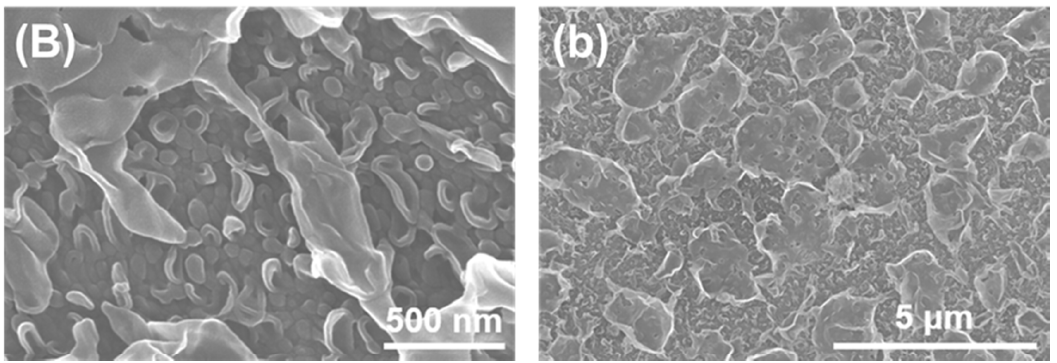 Membranes 11 00142 g001b Membranes 11 00142 g001b