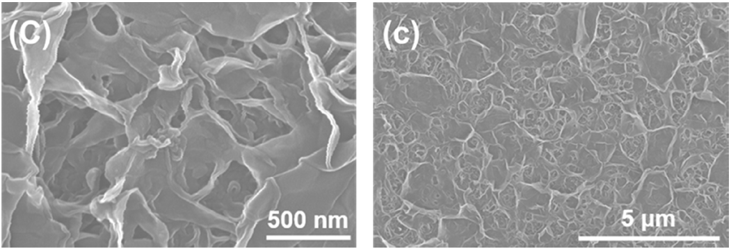 Membranes 11 00142 g001c Membranes 11 00142 g001c