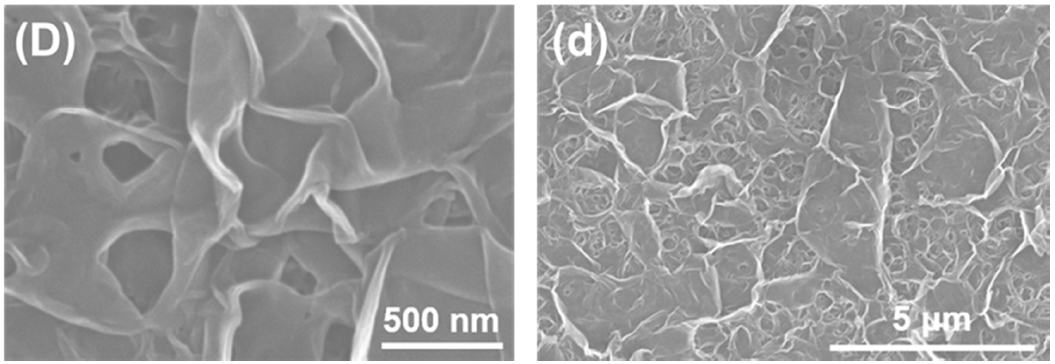 Membranes 11 00142 g001d Membranes 11 00142 g001d