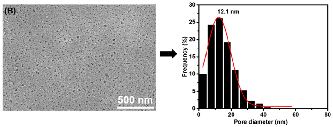 Membranes 11 00142 g003b Membranes 11 00142 g003b