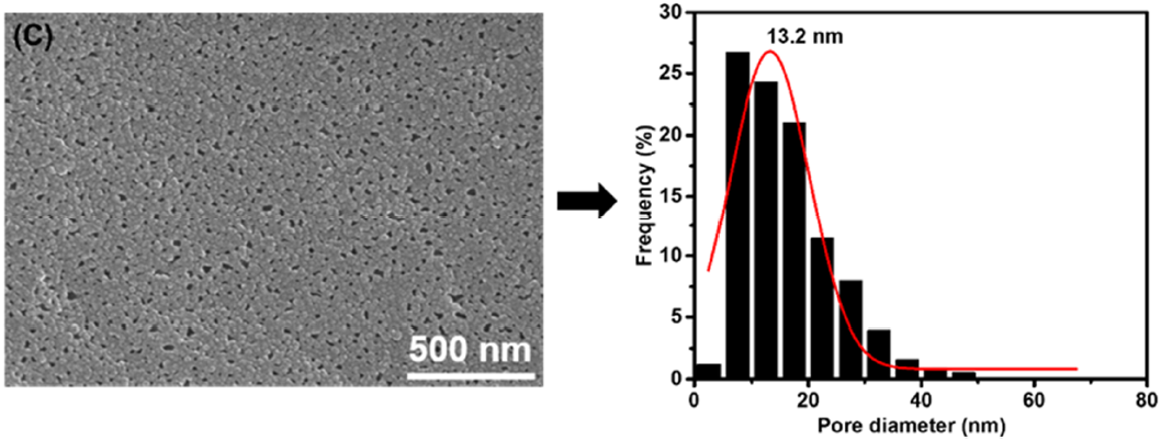 Membranes 11 00142 g003c Membranes 11 00142 g003c