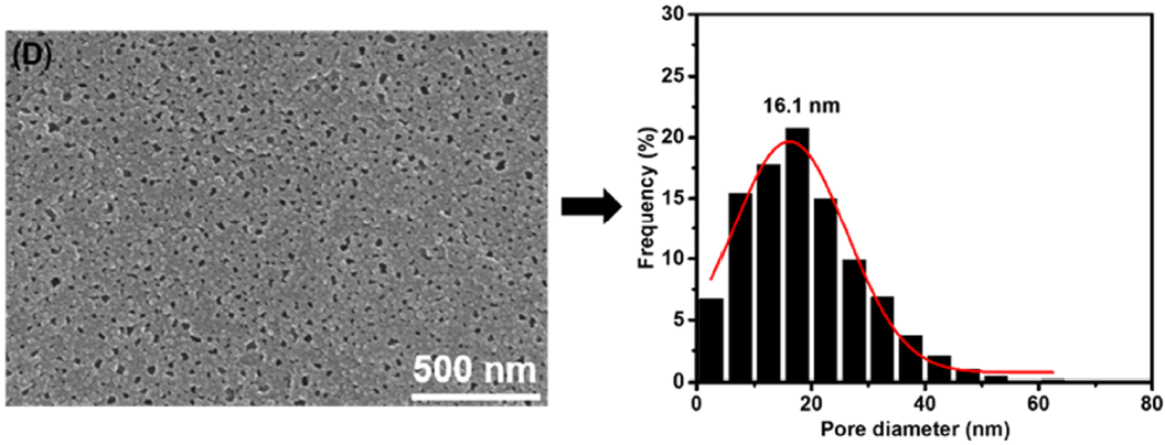 Membranes 11 00142 g003d Membranes 11 00142 g003d