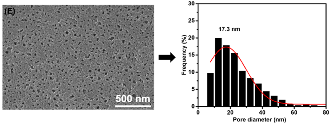 Membranes 11 00142 g003e Membranes 11 00142 g003e