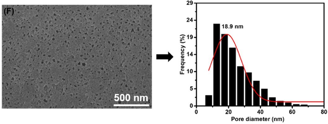 Membranes 11 00142 g003f Membranes 11 00142 g003f