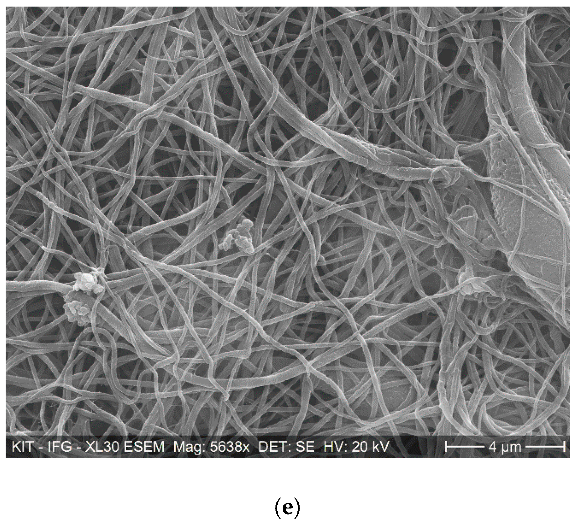 Membranes 11 00147 g001c